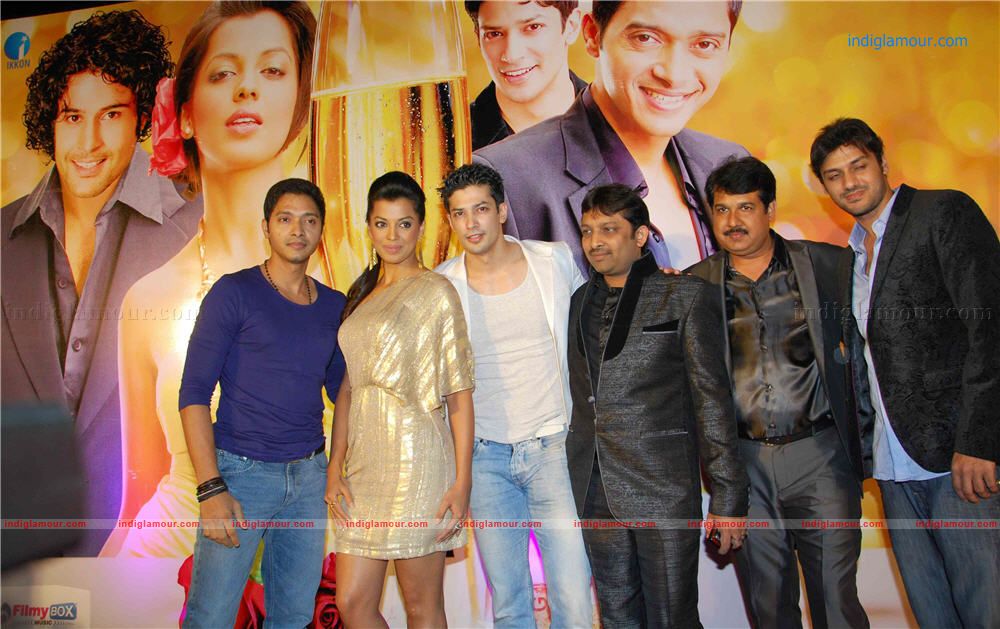 Will You Marry Me Music Launch Event hd photo