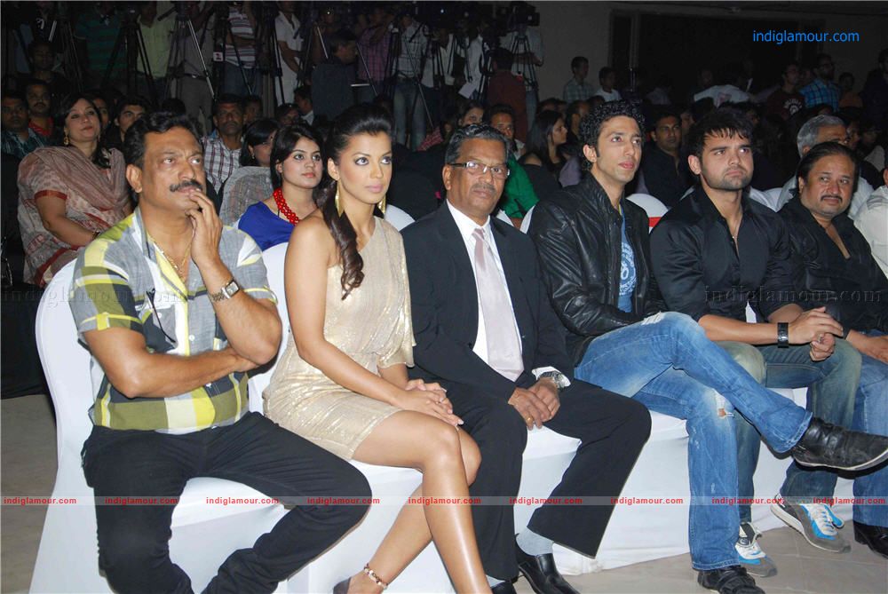 Will You Marry Me Music Launch Event hd photo