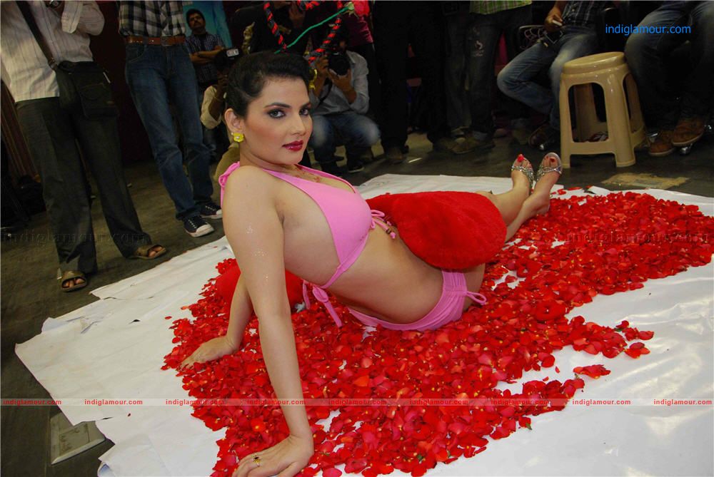 Madhavi Sharma Pre Valentine Bikini Shoot Event hd photo