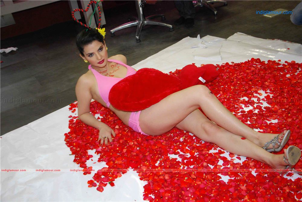 Madhavi Sharma Pre Valentine Bikini Shoot Event hd photo