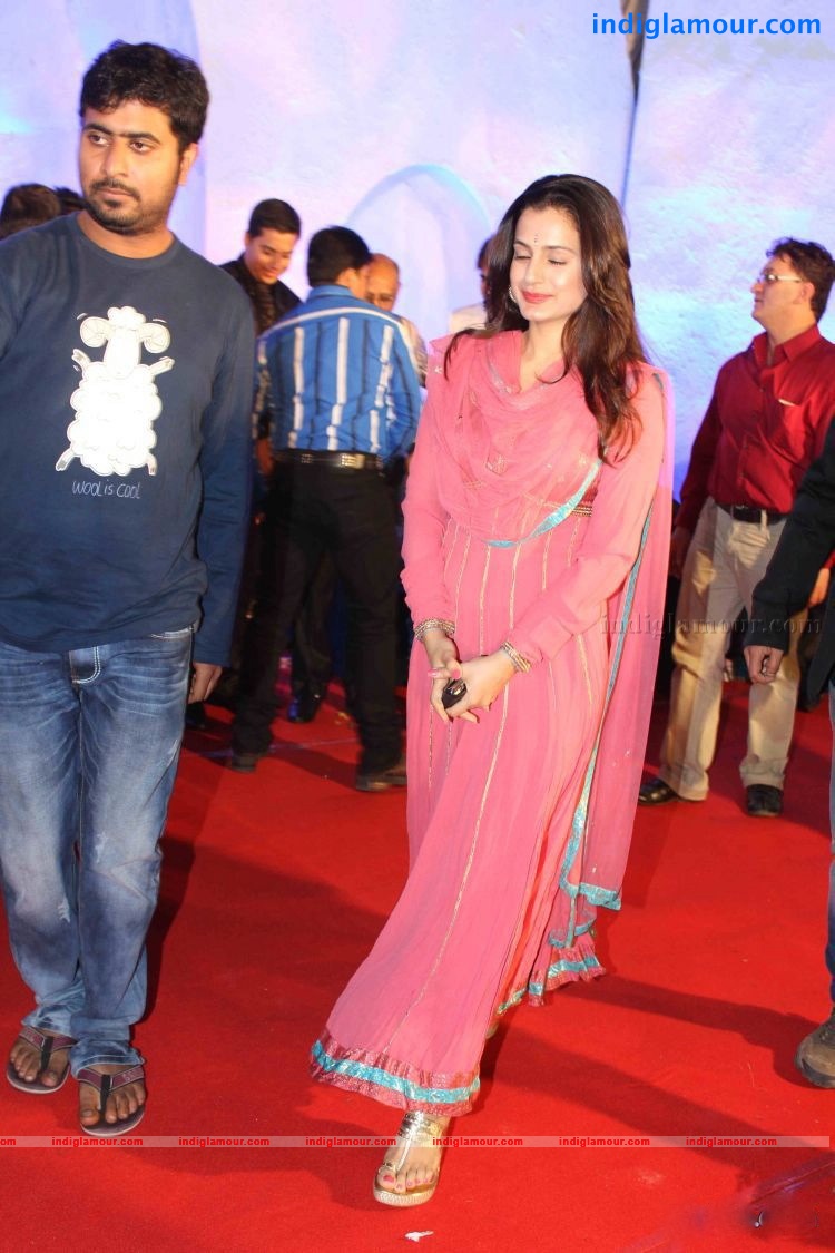 Bollywood Stars At Suhail and Sandiya Marraige Reception Event hd photo