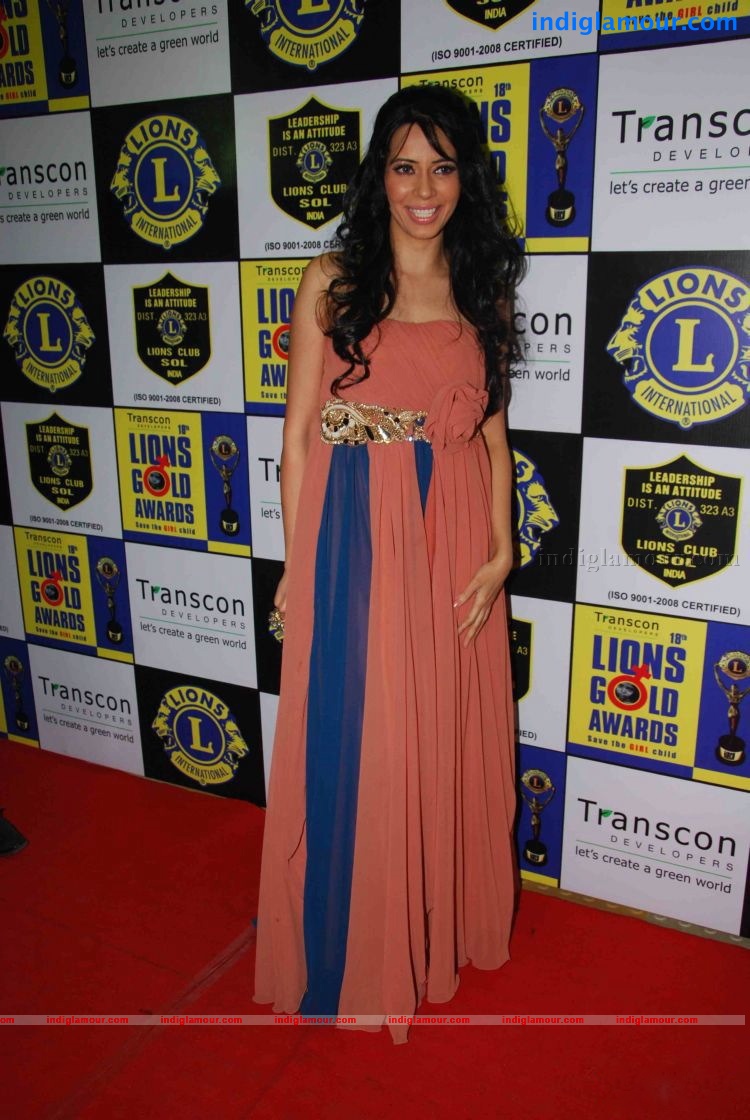 Celebs at Lions Awards Event hd photo