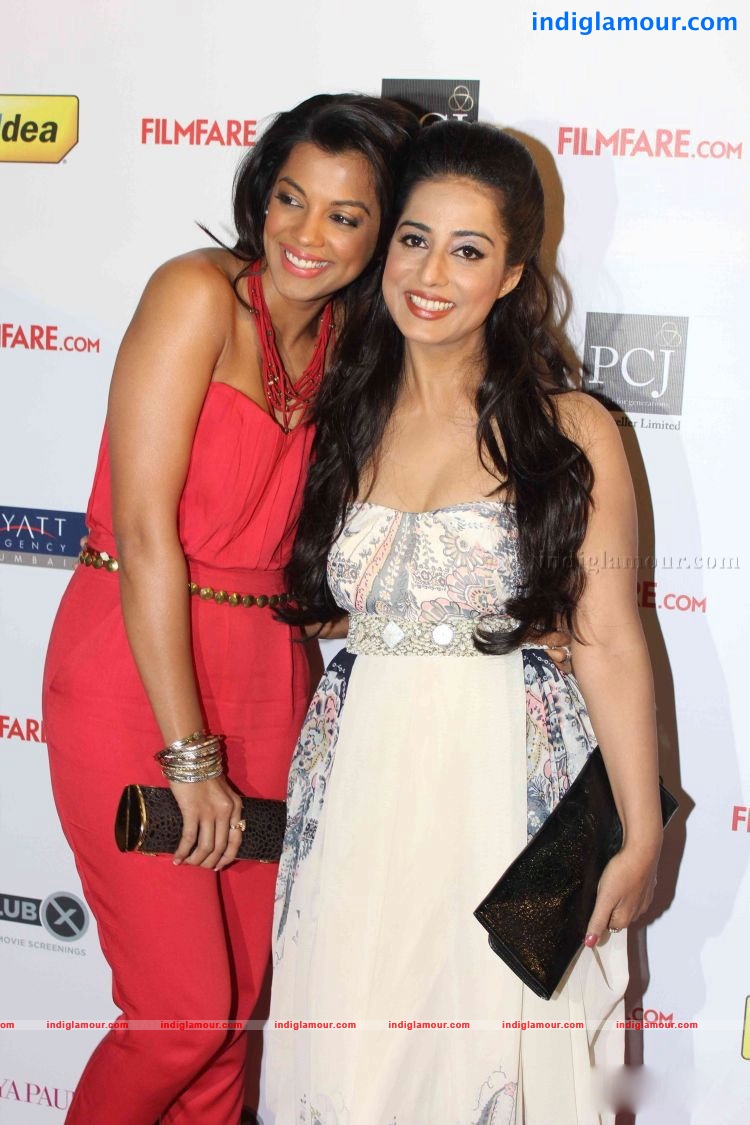 57th Idea Filmfare Awards 2011 Pre Award Party Event hd photo