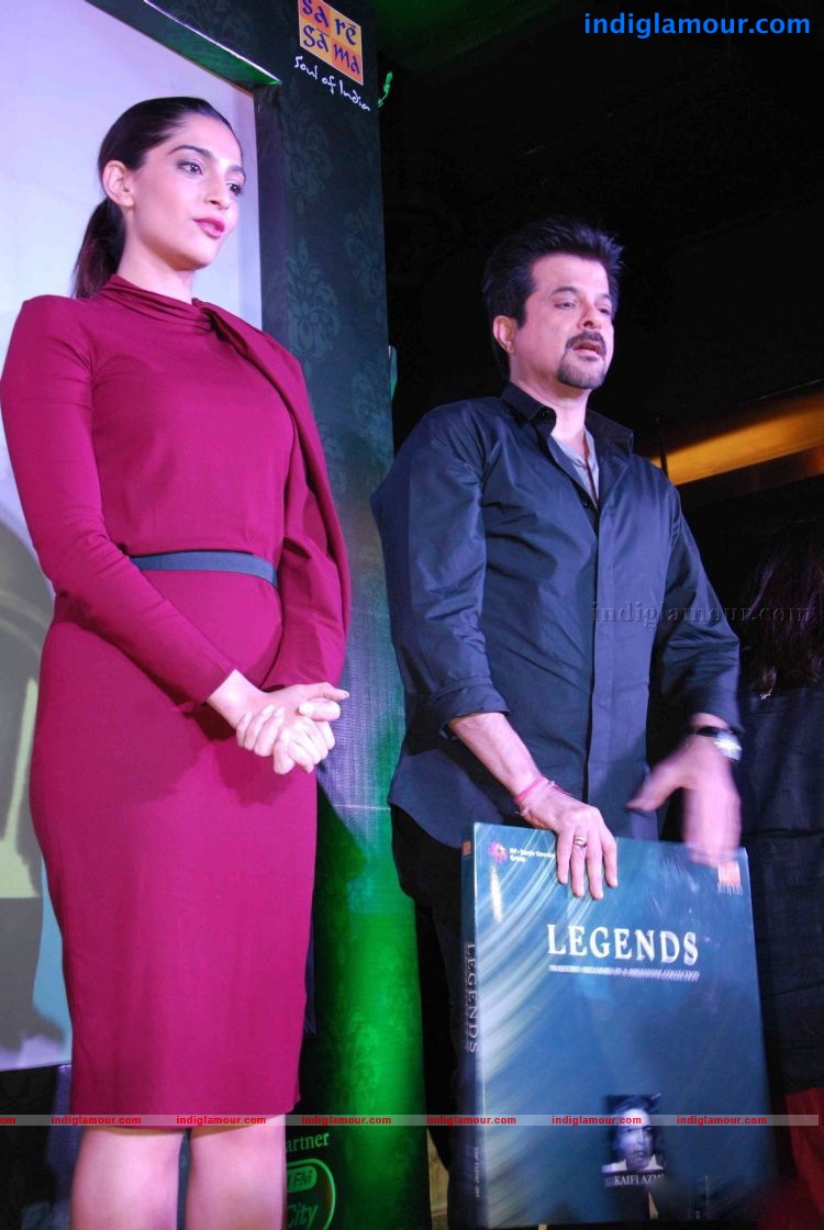 Legends Album Launch Photos Event hd photo
