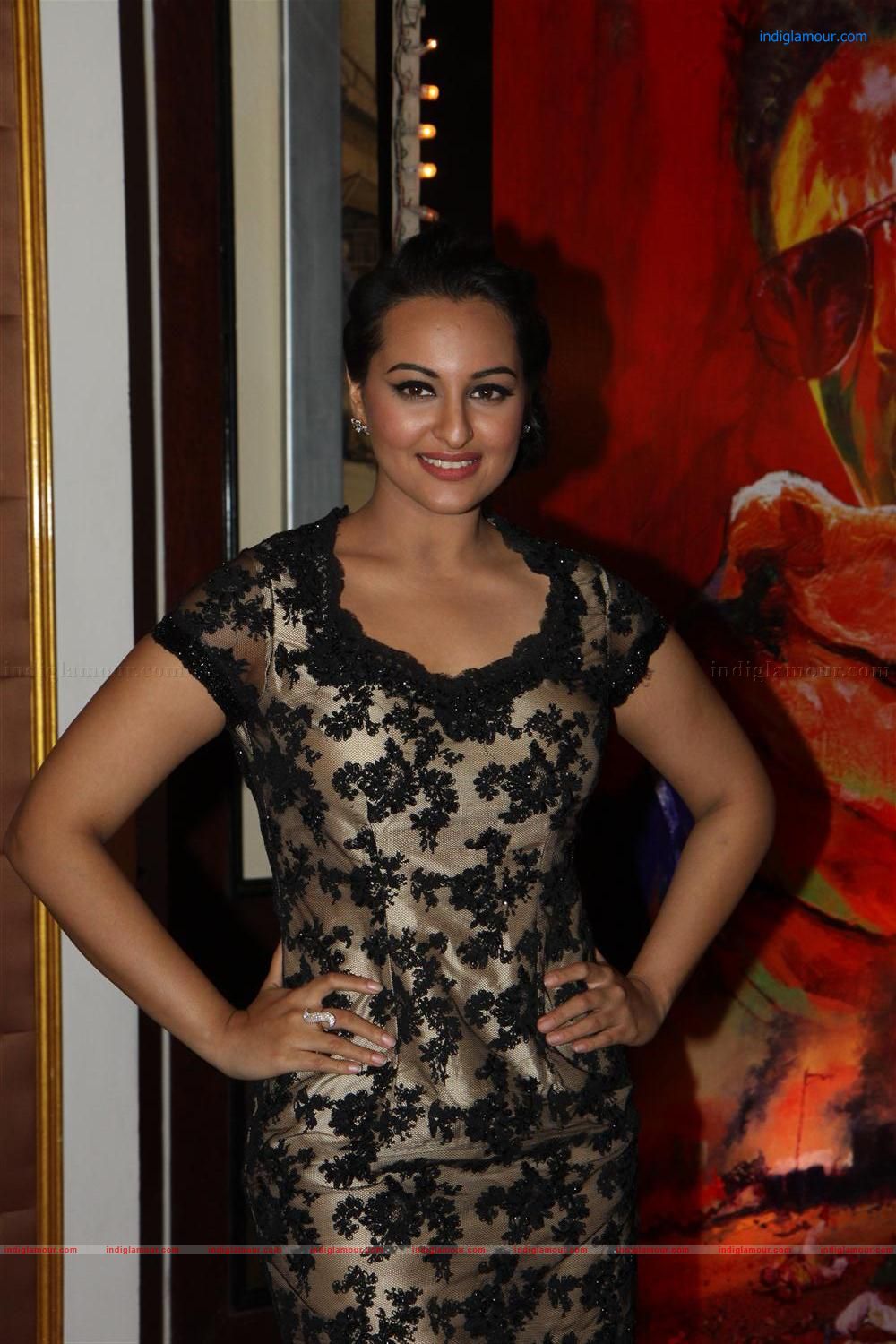 Rowdy Rathore Success Bash Event hd photo