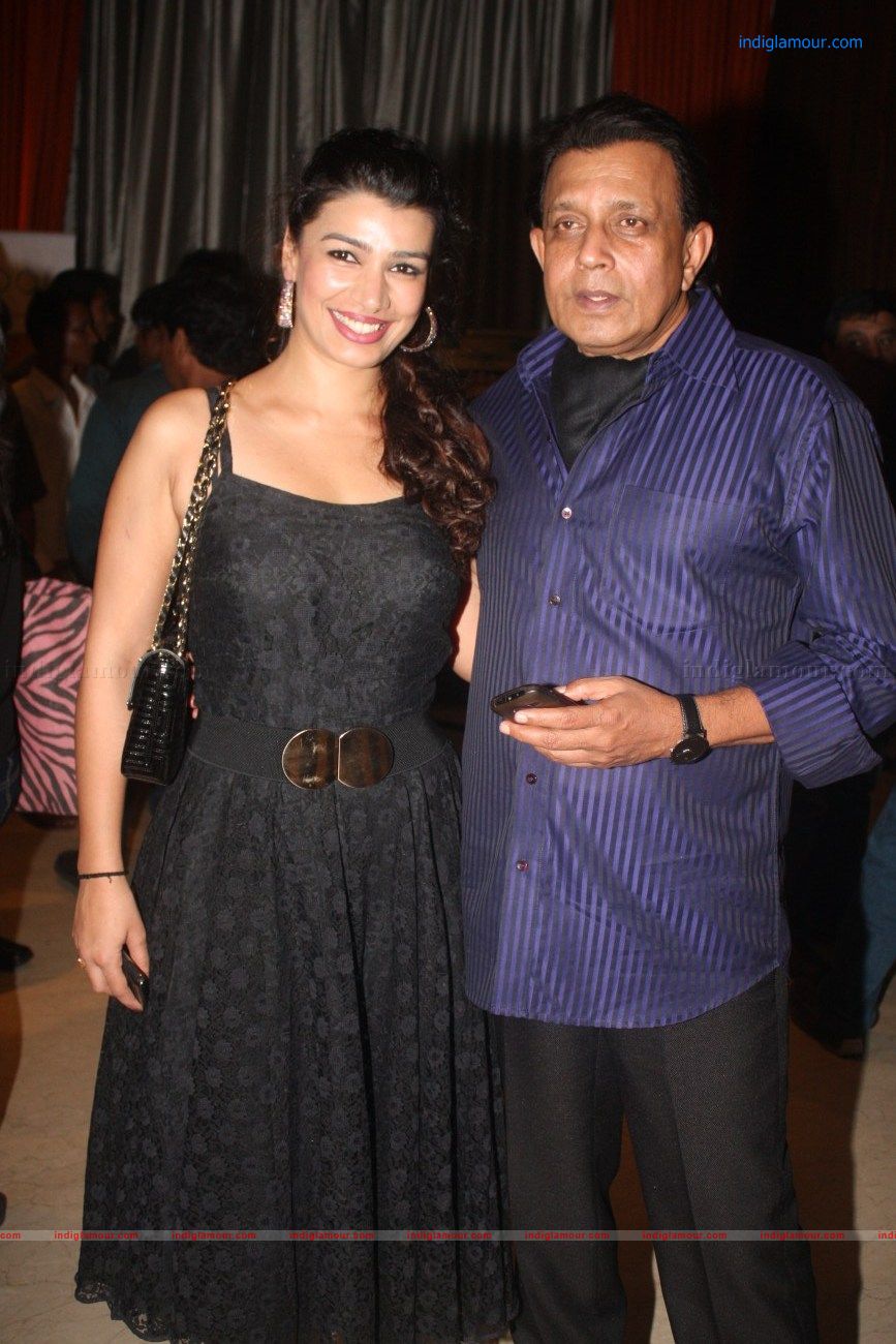 IIFA Singapore 2012 Press Conference Event hd photo