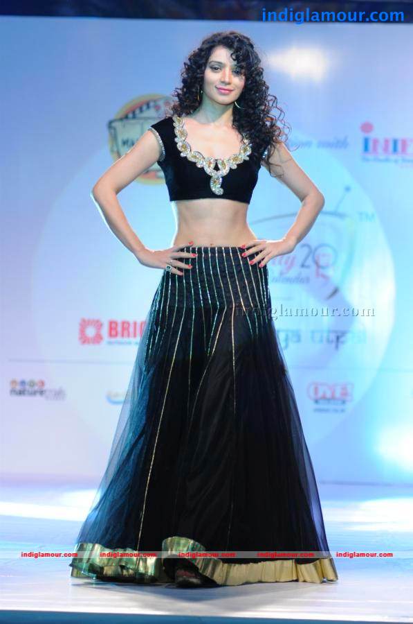 Telly Calender 2013 Launch Event hd photo