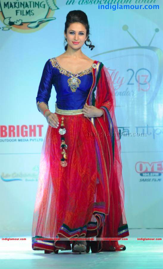 Telly Calender 2013 Launch Event hd photo