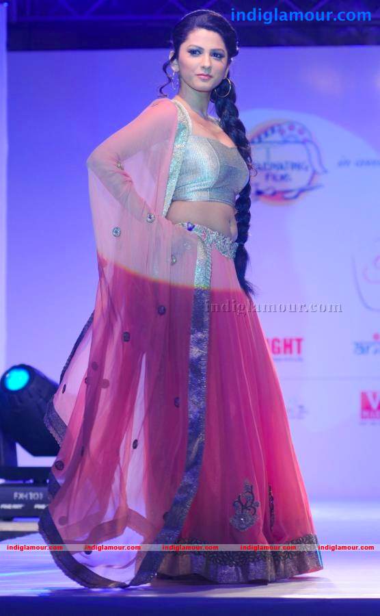 Telly Calender 2013 Launch Event hd photo