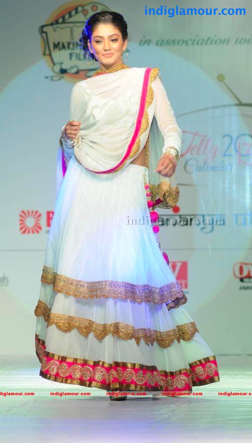 Telly Calender 2013 Launch Event hd photo