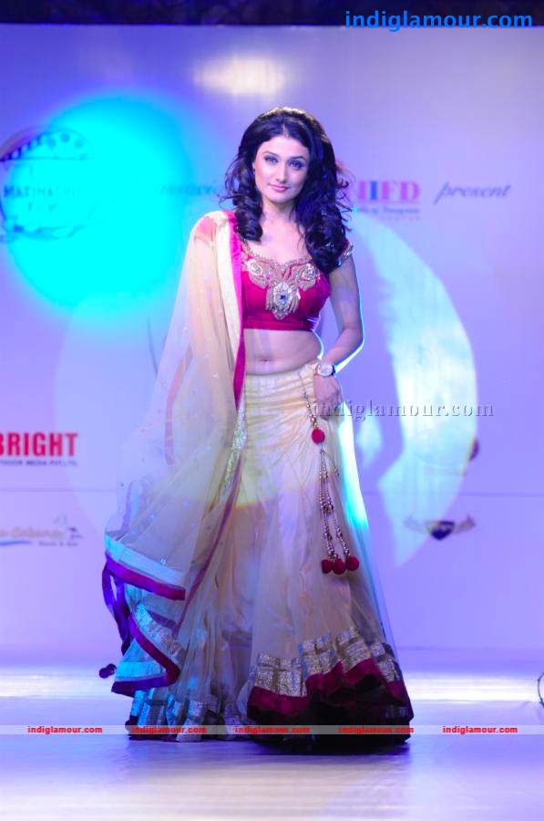 Telly Calender 2013 Launch Event hd photo