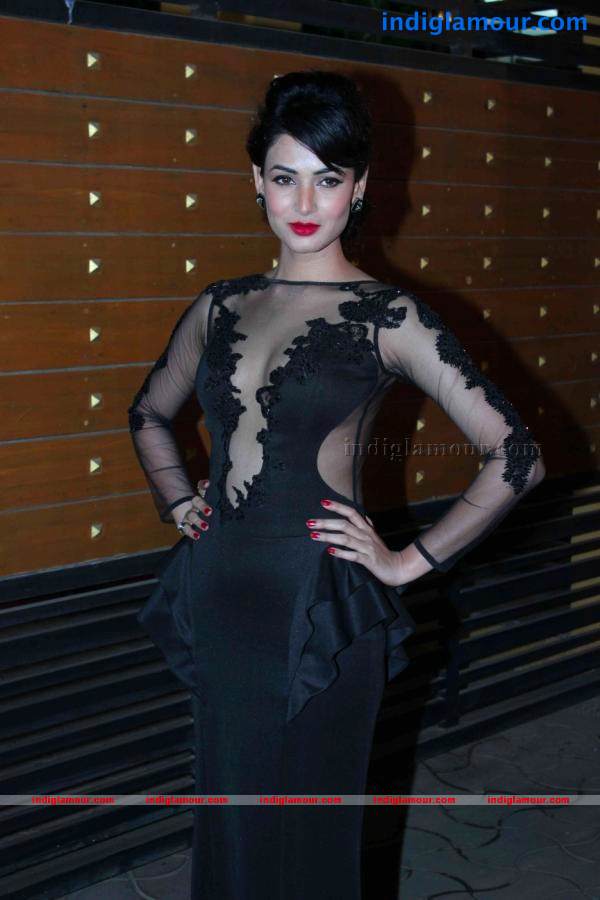 58th Idea Filmfare Awards 2013 Event hd photo