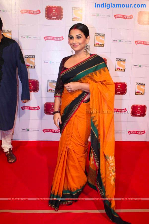 On The Red Carpet At Stardust Awards 2013 Event hd photo