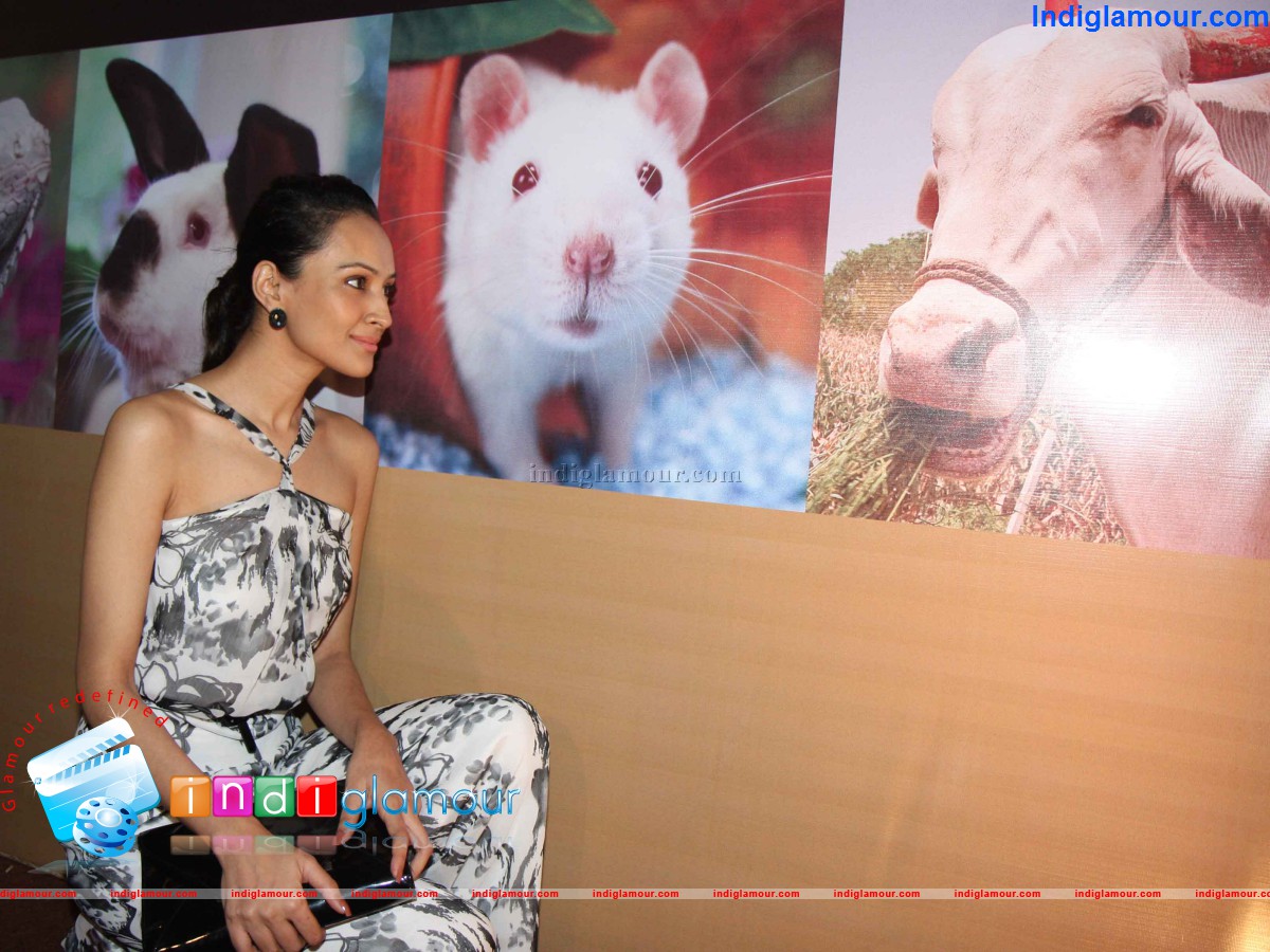 Peta Promotes Extra Vegan Za at Indian Luxury Expo Event hd photo