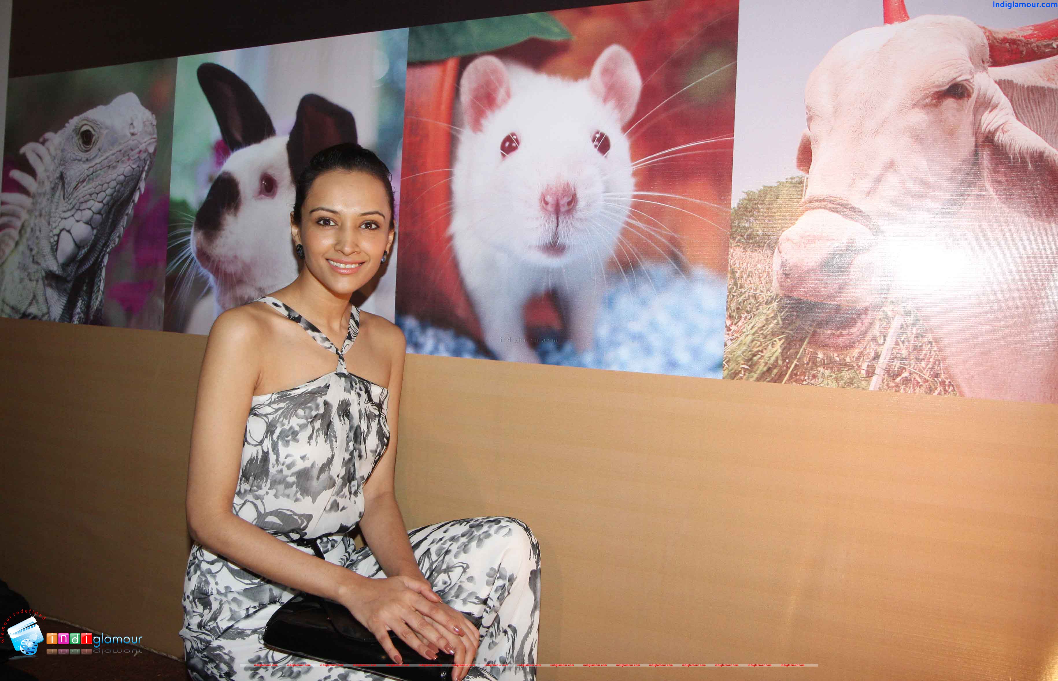 Peta Promotes Extra Vegan Za at Indian Luxury Expo Event hd photo