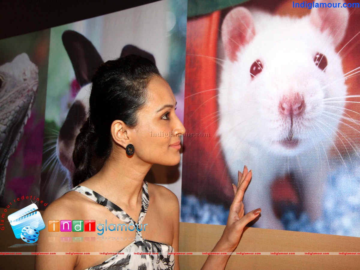 Peta Promotes Extra Vegan Za at Indian Luxury Expo Event hd photo