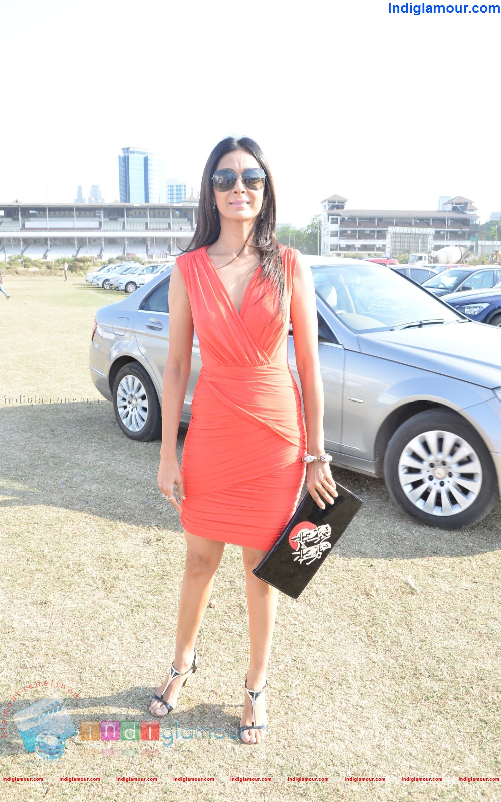 Amateure Rides Club Presents Porsche Southern Command Polo Cups Event hd photo