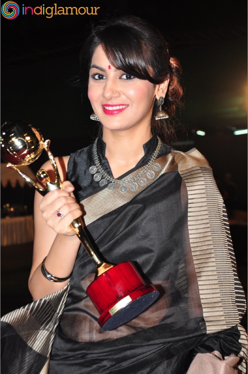 Aadhi Aabadi Women Achievers Awards 2015 Event hd photo