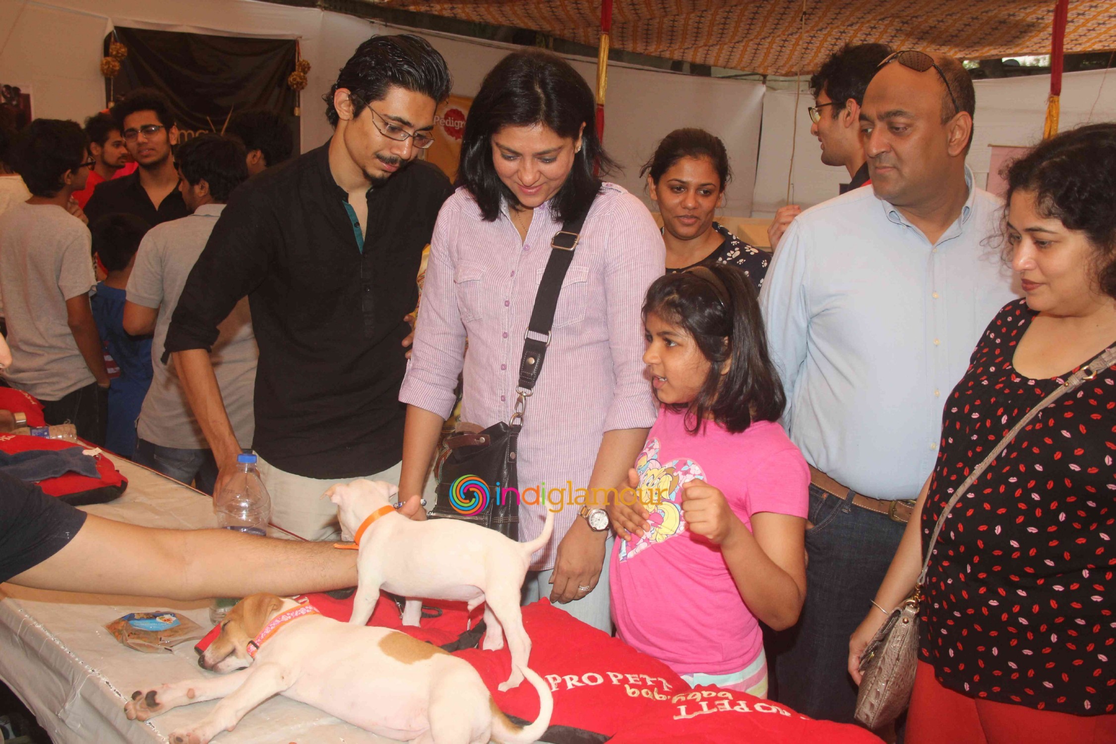 Bollywood Celebs Support Animal Adoption Drive Event hd photo
