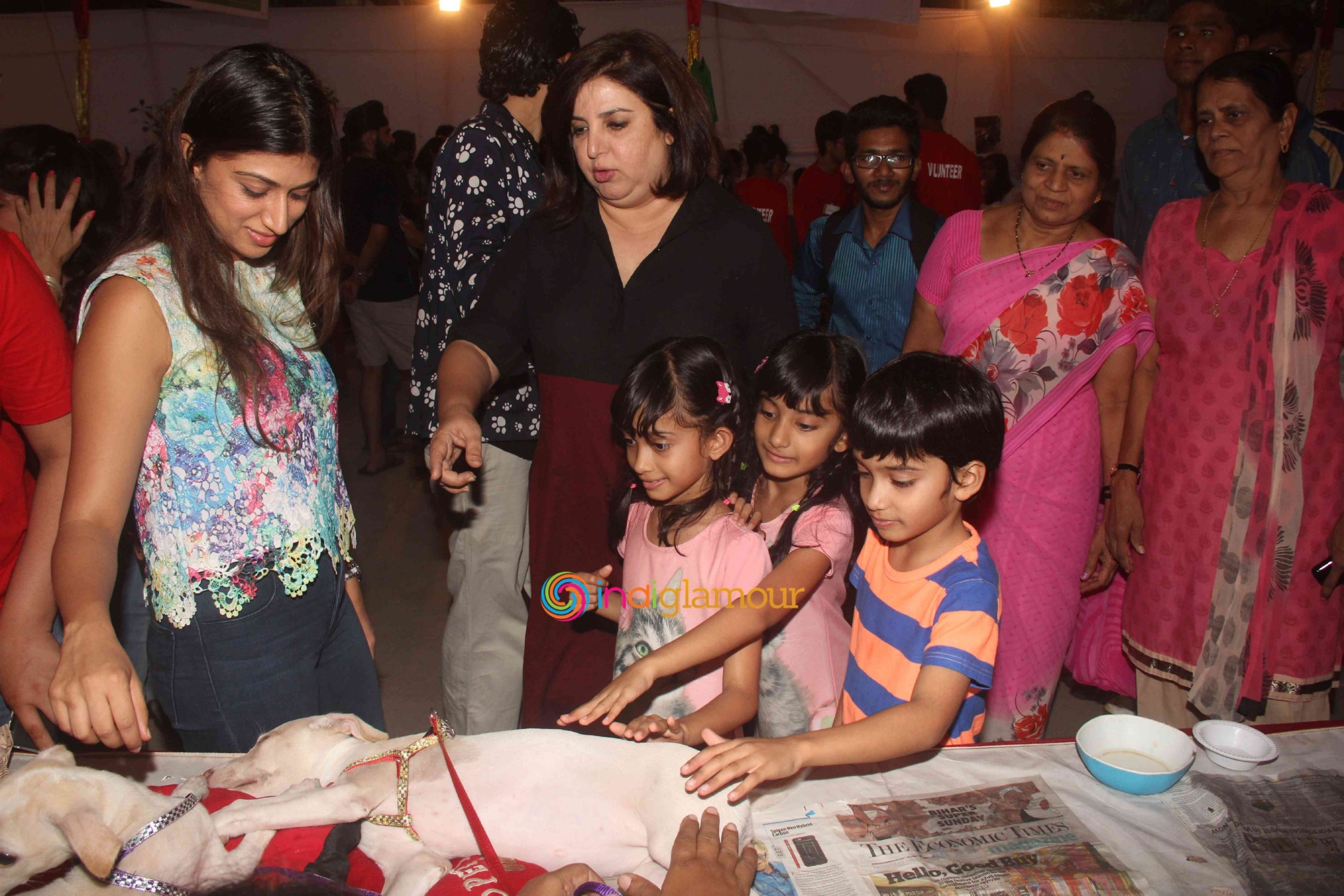 Bollywood Celebs Support Animal Adoption Drive Event hd photo