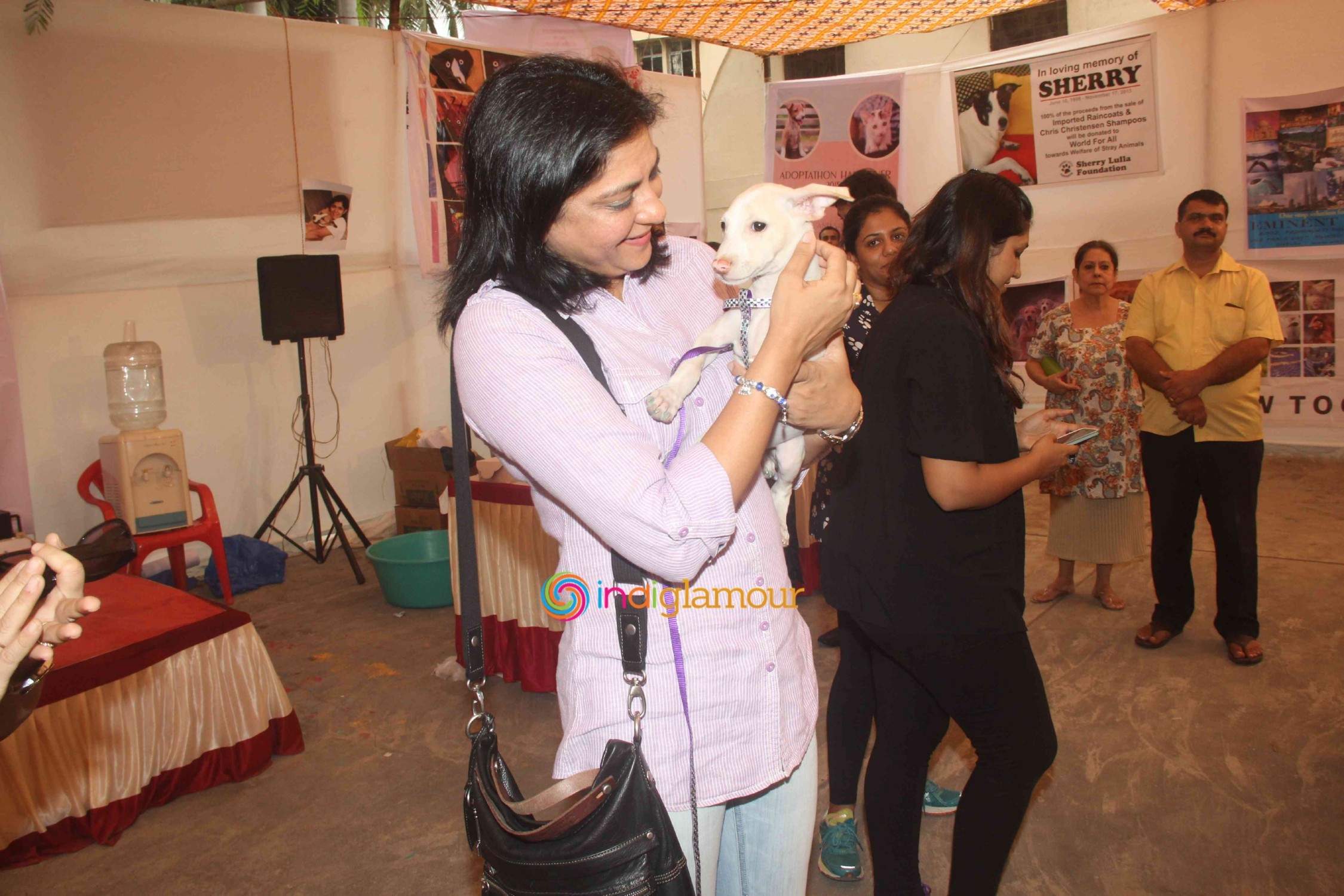Bollywood Celebs Support Animal Adoption Drive Event hd photo