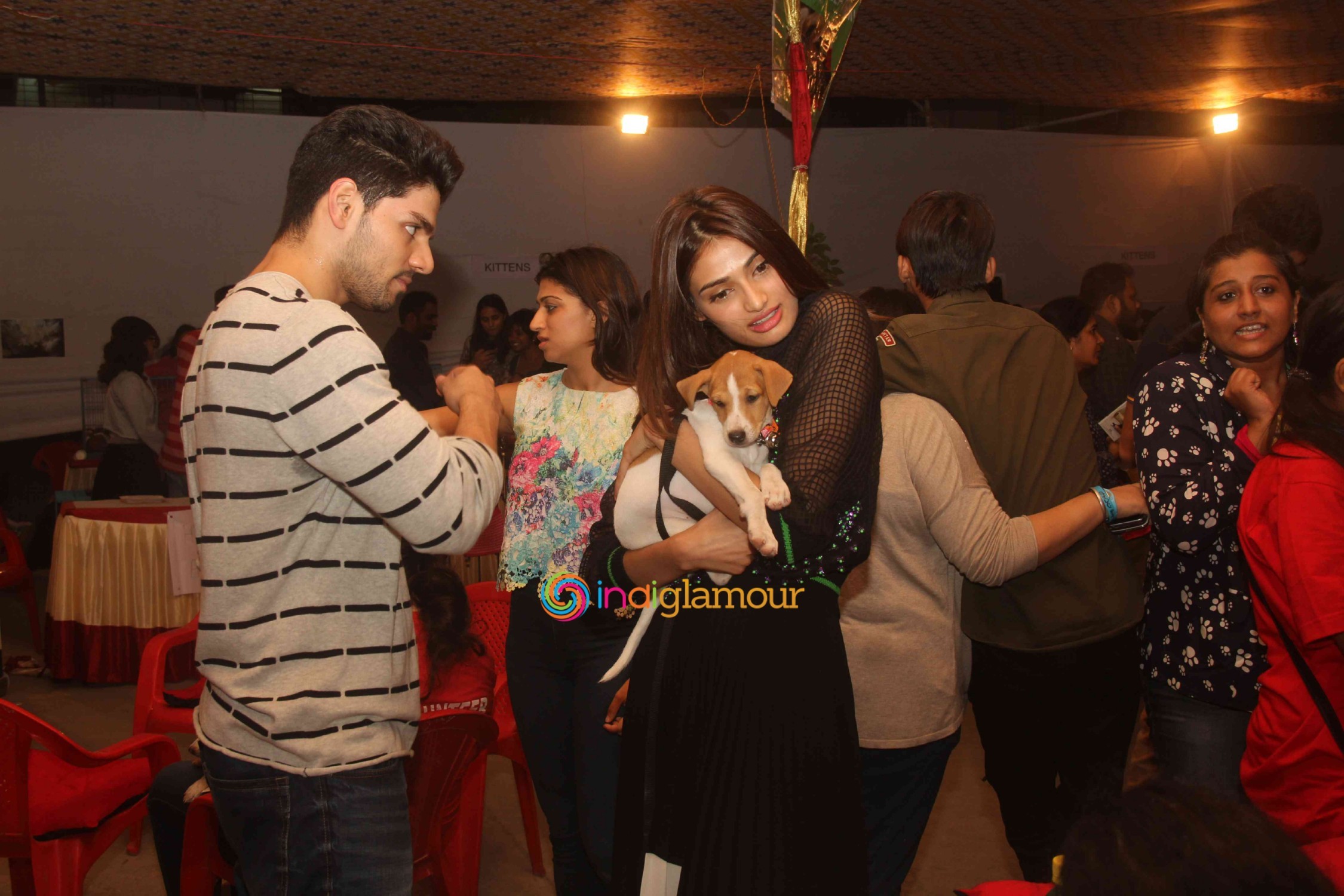 Bollywood Celebs Support Animal Adoption Drive Event hd photo