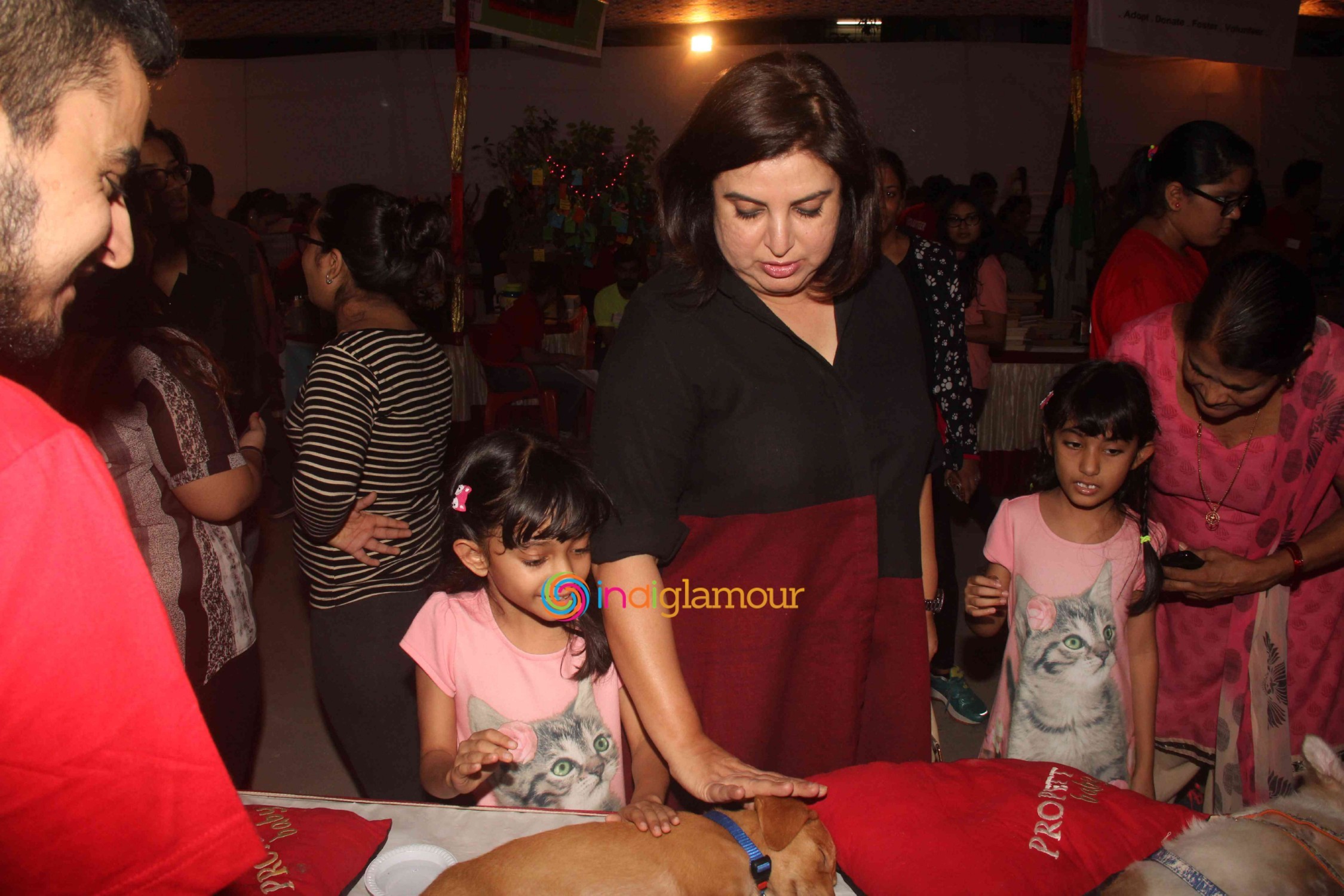 Bollywood Celebs Support Animal Adoption Drive Event hd photo