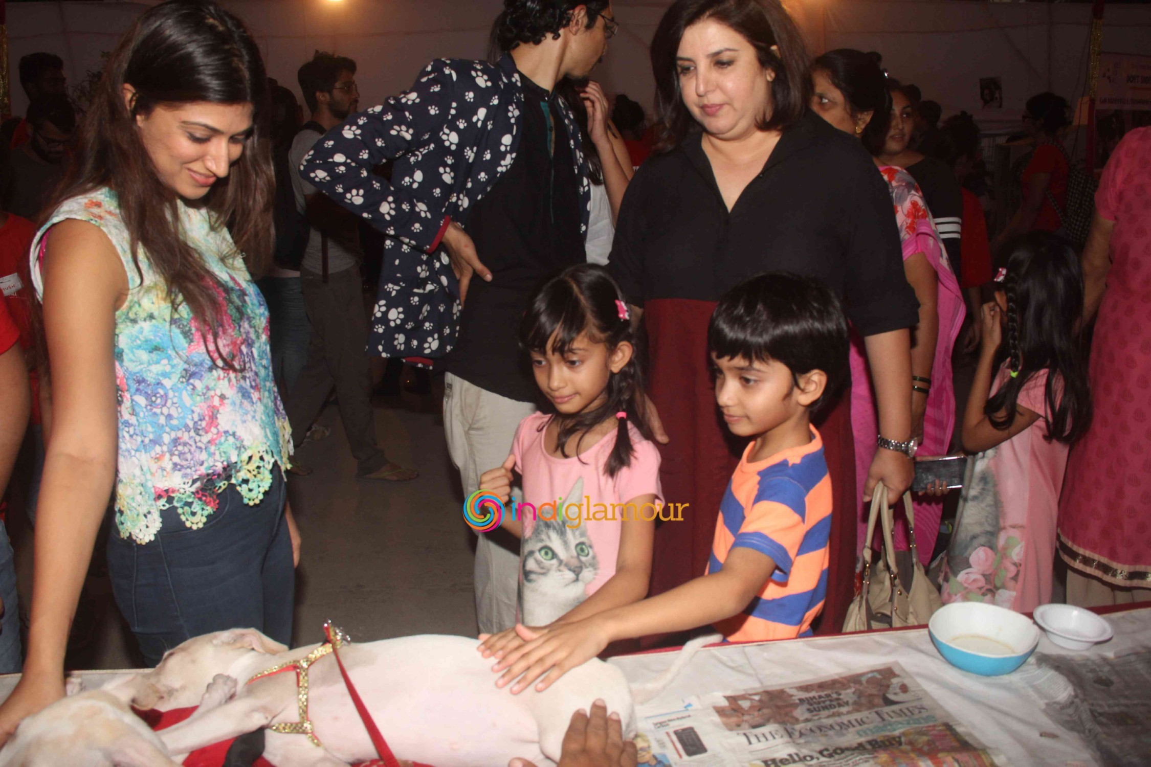 Bollywood Celebs Support Animal Adoption Drive Event hd photo