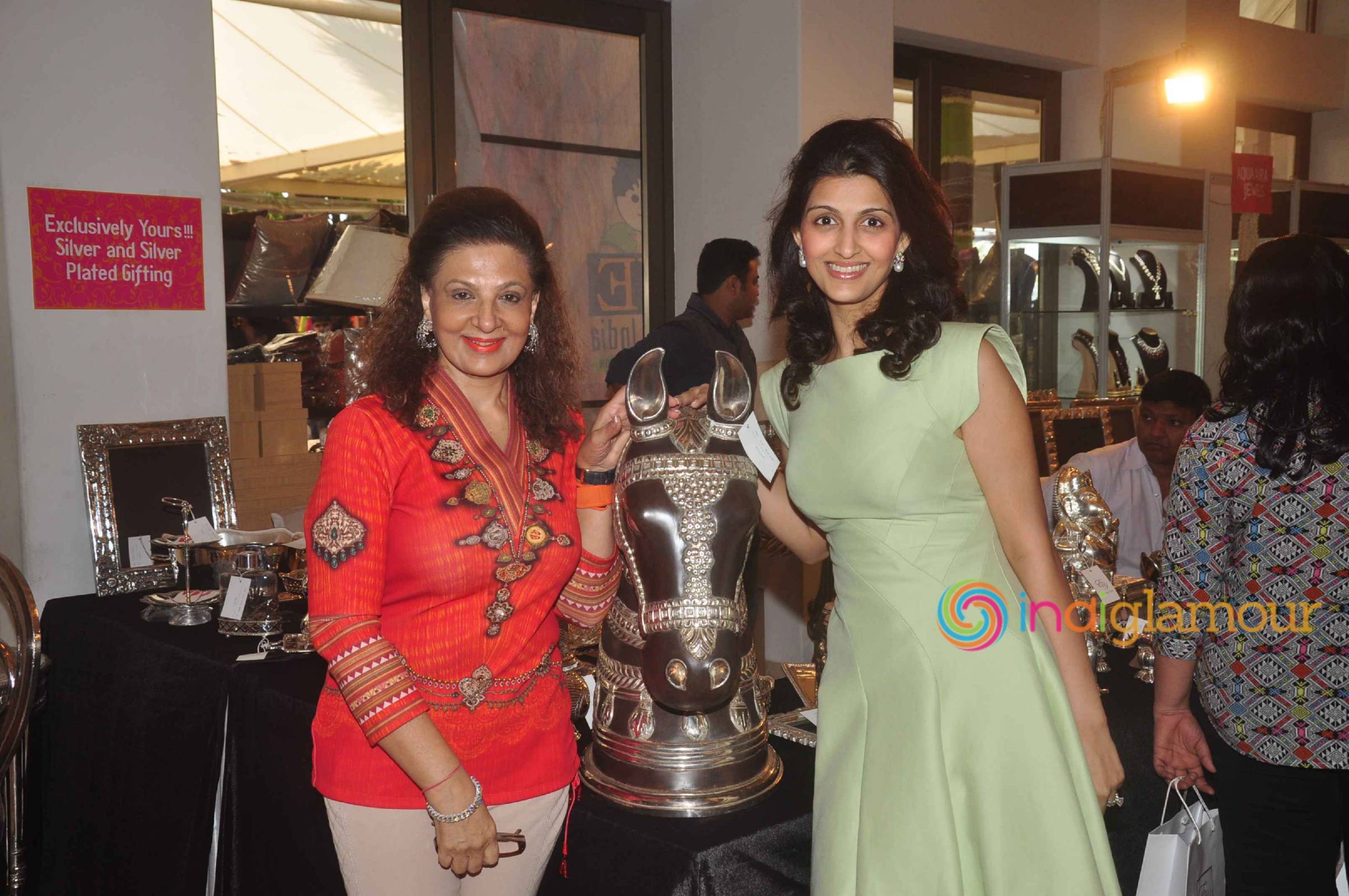 Mana Shetty Hosted The Araaish Exhibition 2015 Event hd photo