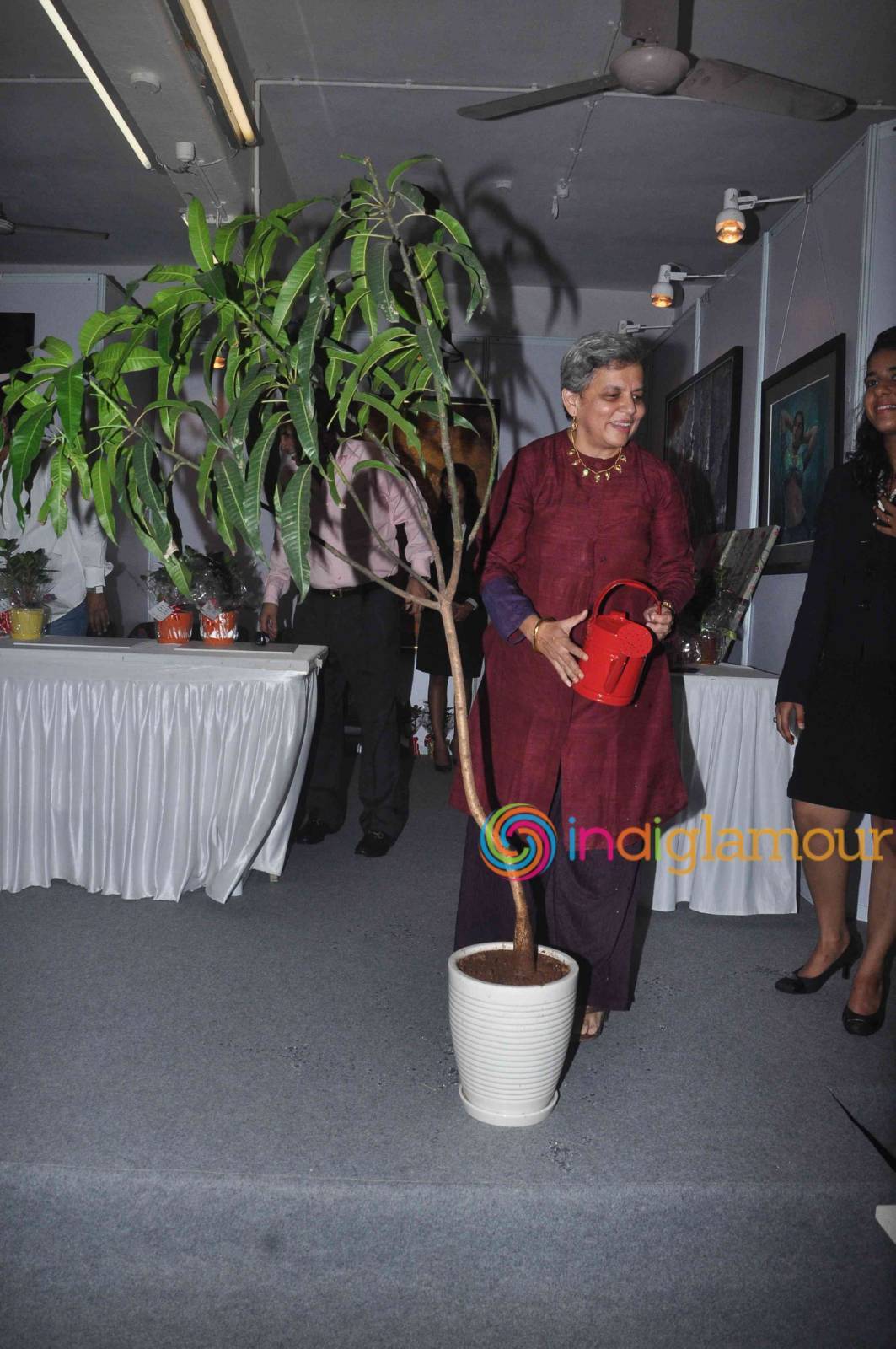 Launch of Exhibition A Retrospective J P Singhal Event hd photo