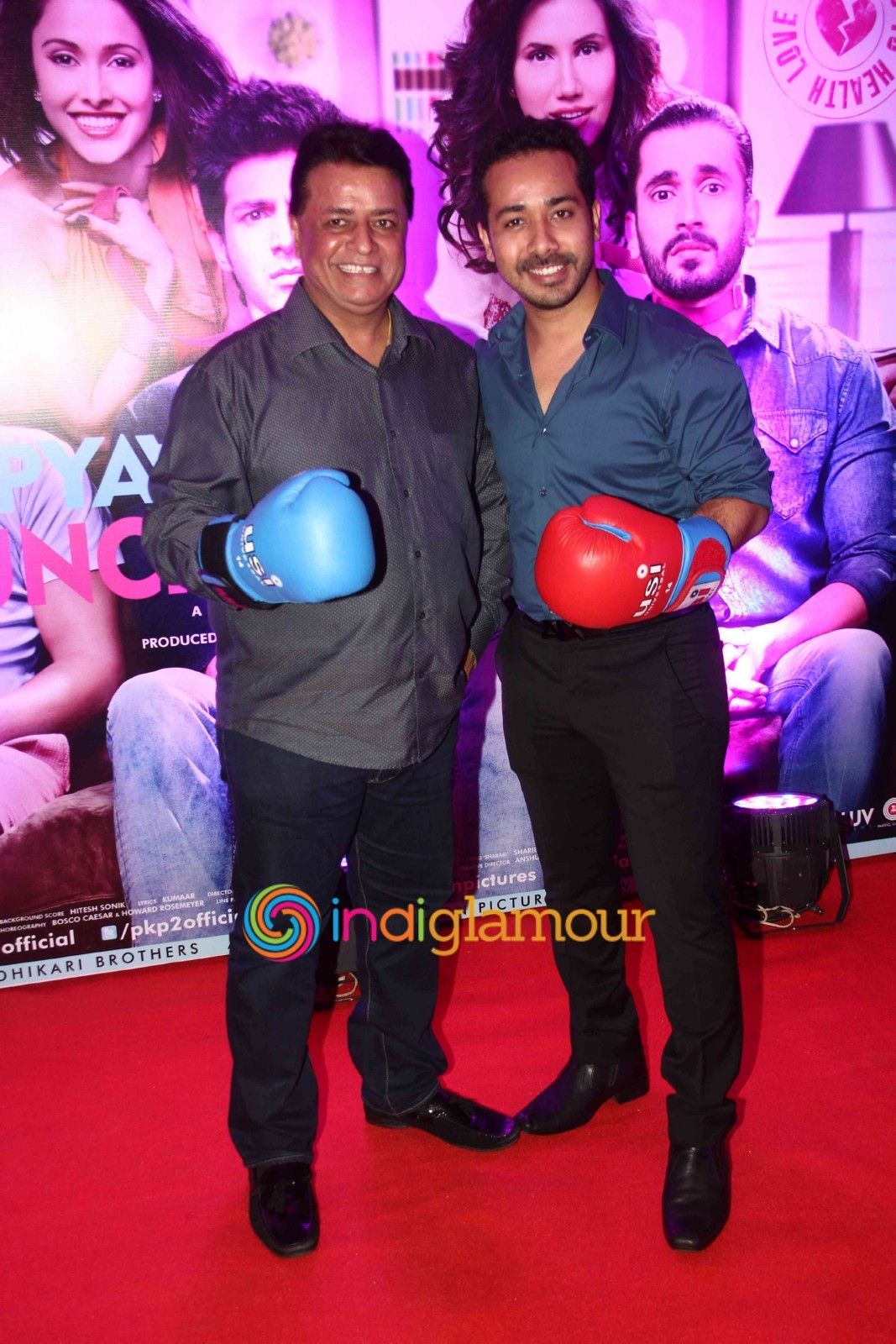 Success Party of Pyaar Ka Punchnama 2 Event hd photo
