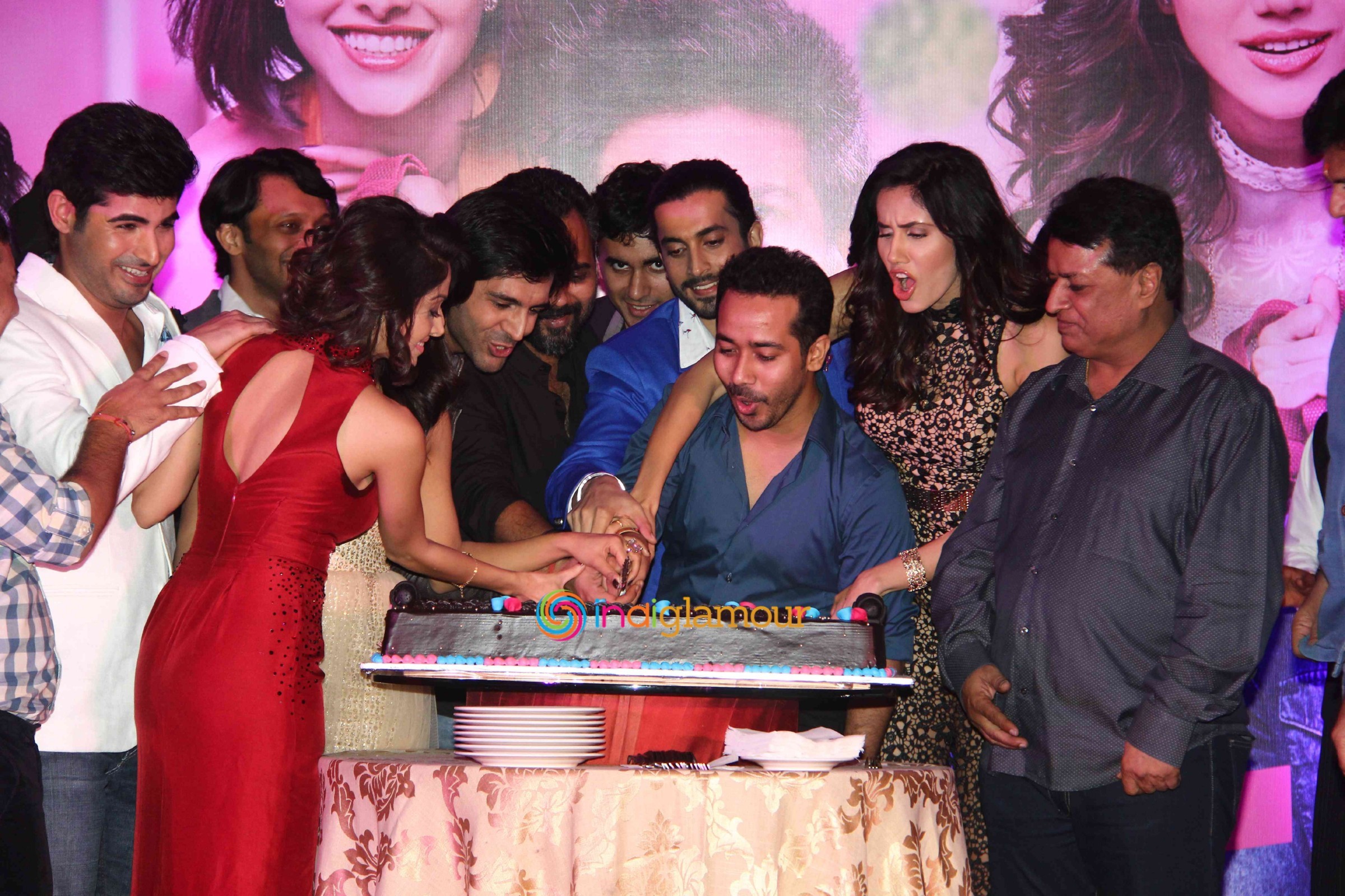 Success Party of Pyaar Ka Punchnama 2 Event hd photo