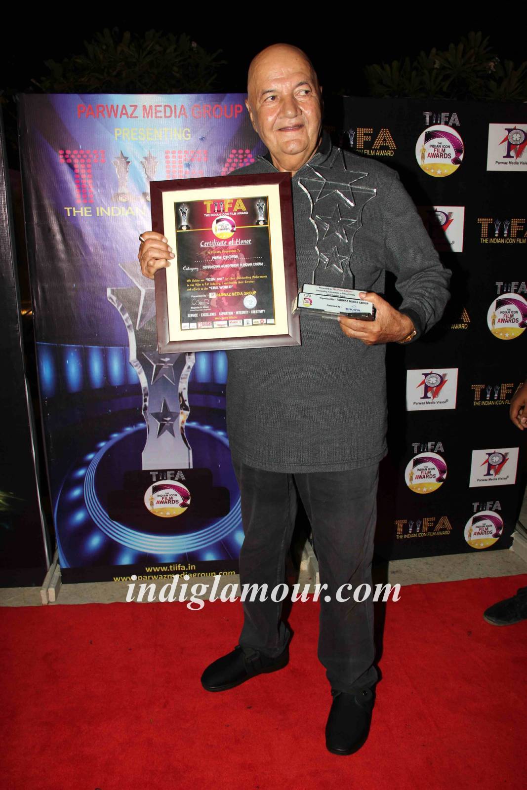 TIIFA Awards 2015 Event hd photo