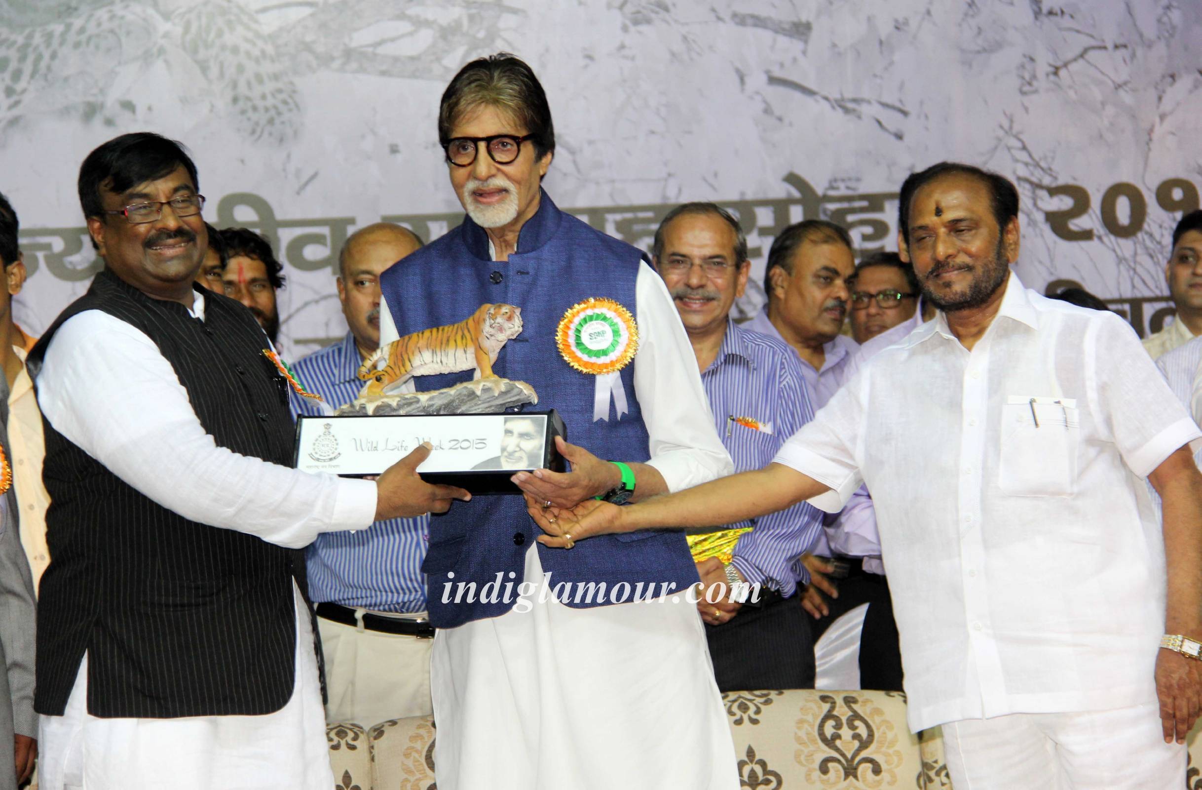 Amitabh Bachchan Appointed as Maharashtra Tiger Ambassador Event hd photo