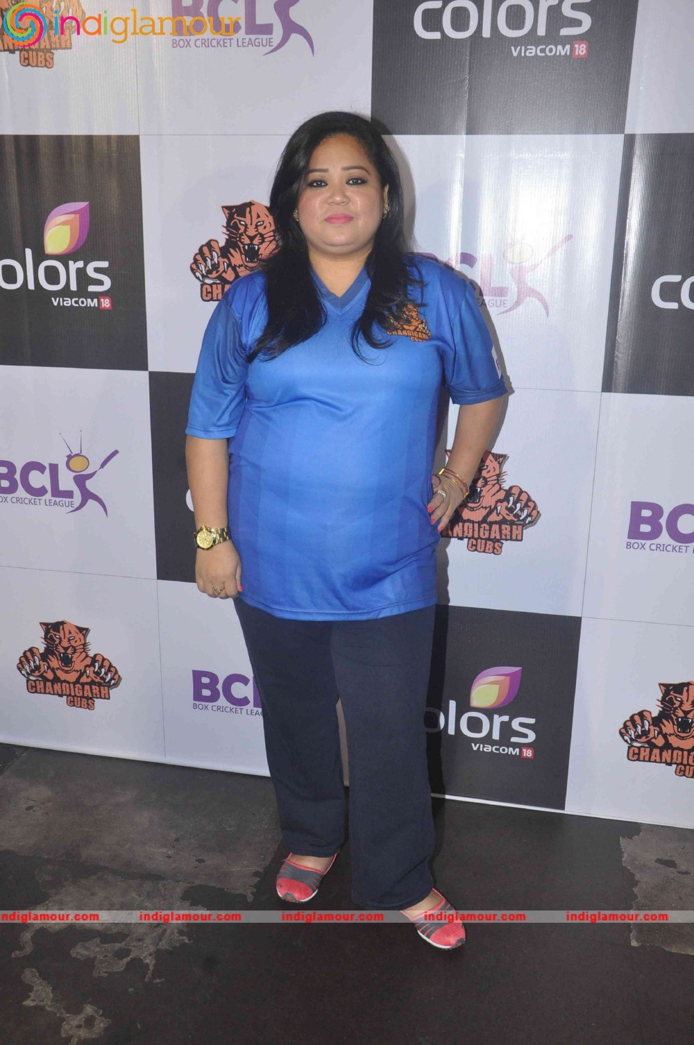 Media Interaction of BCL Cricket Team Chandigarh Cubs Event hd photo