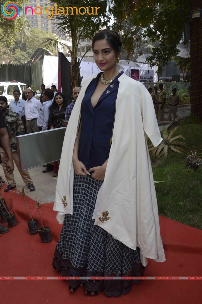 Inauguration of FICCI FLO Film Festival Event hd photo