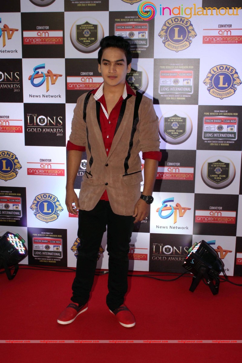 22nd SOL LIONS GOLD AWARDS Event hd photo