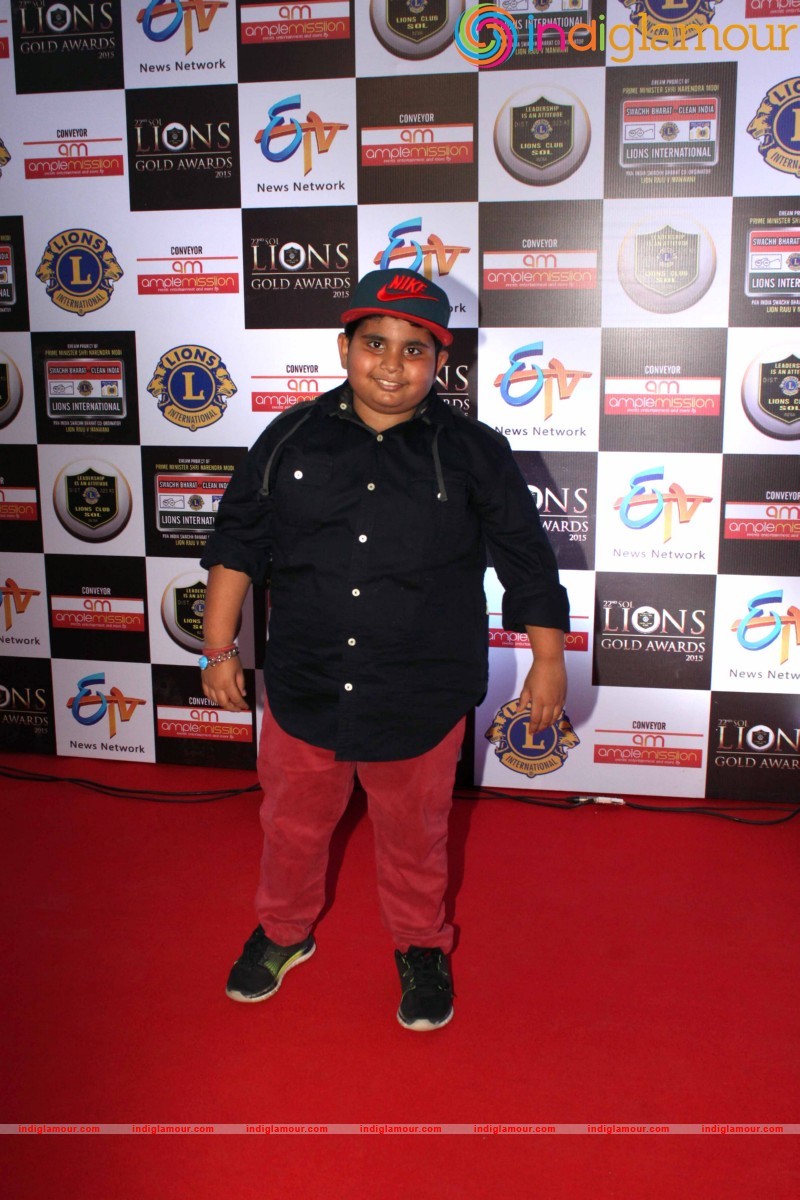 22nd SOL LIONS GOLD AWARDS Event hd photo