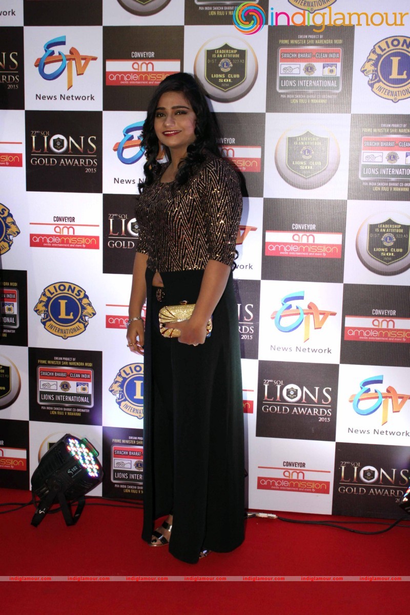 22nd SOL LIONS GOLD AWARDS Event hd photo