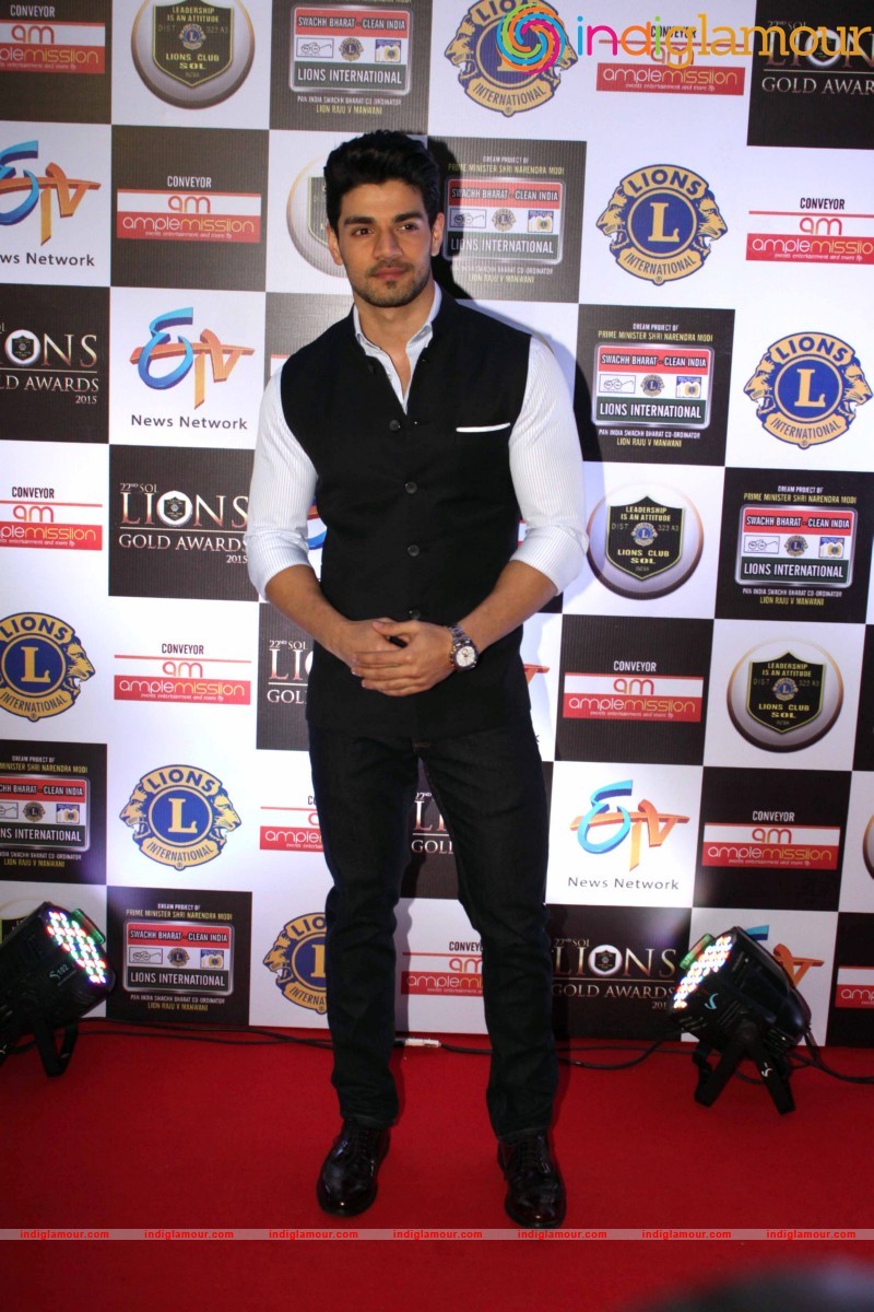22nd SOL LIONS GOLD AWARDS Event hd photo