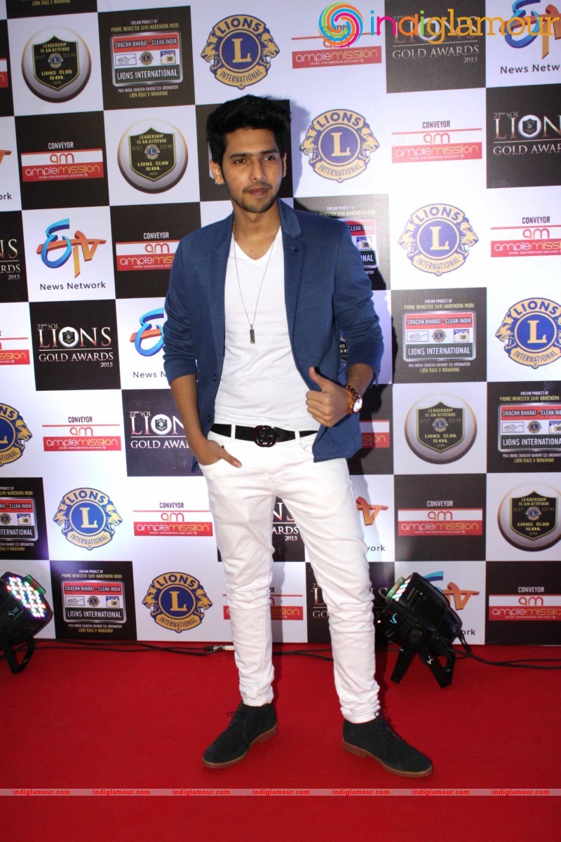 22nd SOL LIONS GOLD AWARDS Event hd photo
