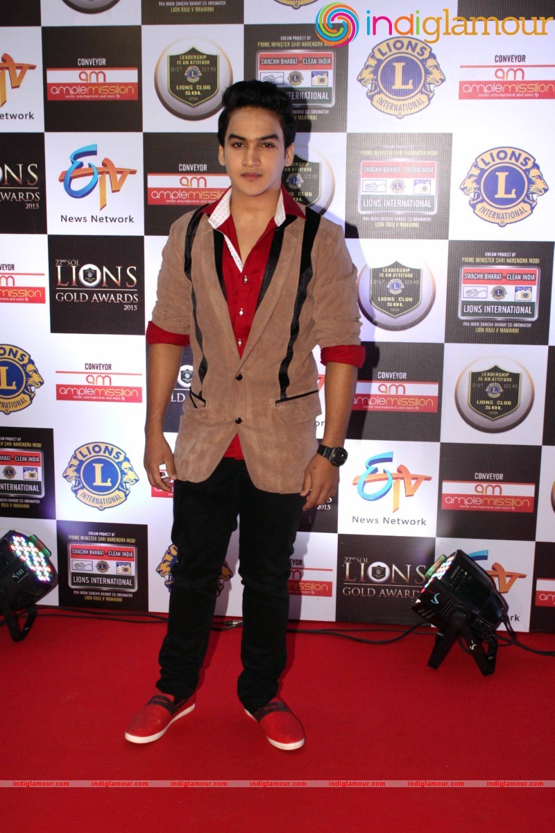 22nd SOL LIONS GOLD AWARDS Event hd photo