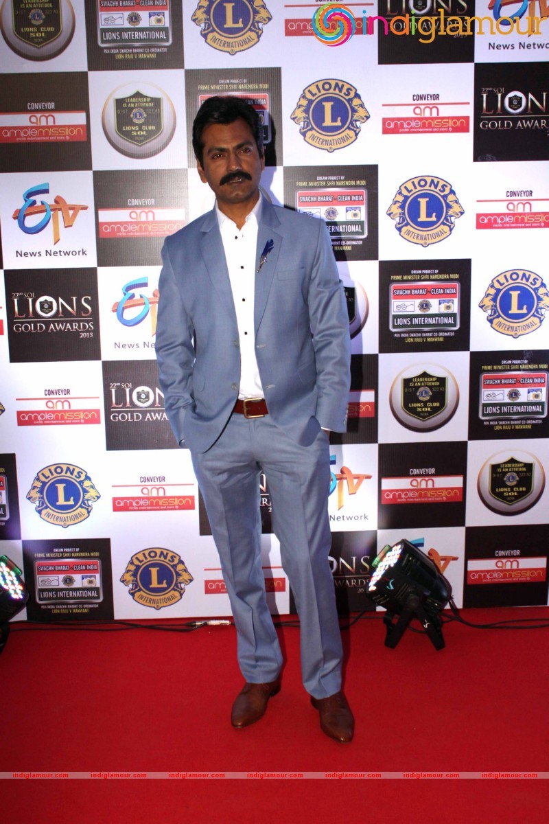 22nd SOL LIONS GOLD AWARDS Event hd photo