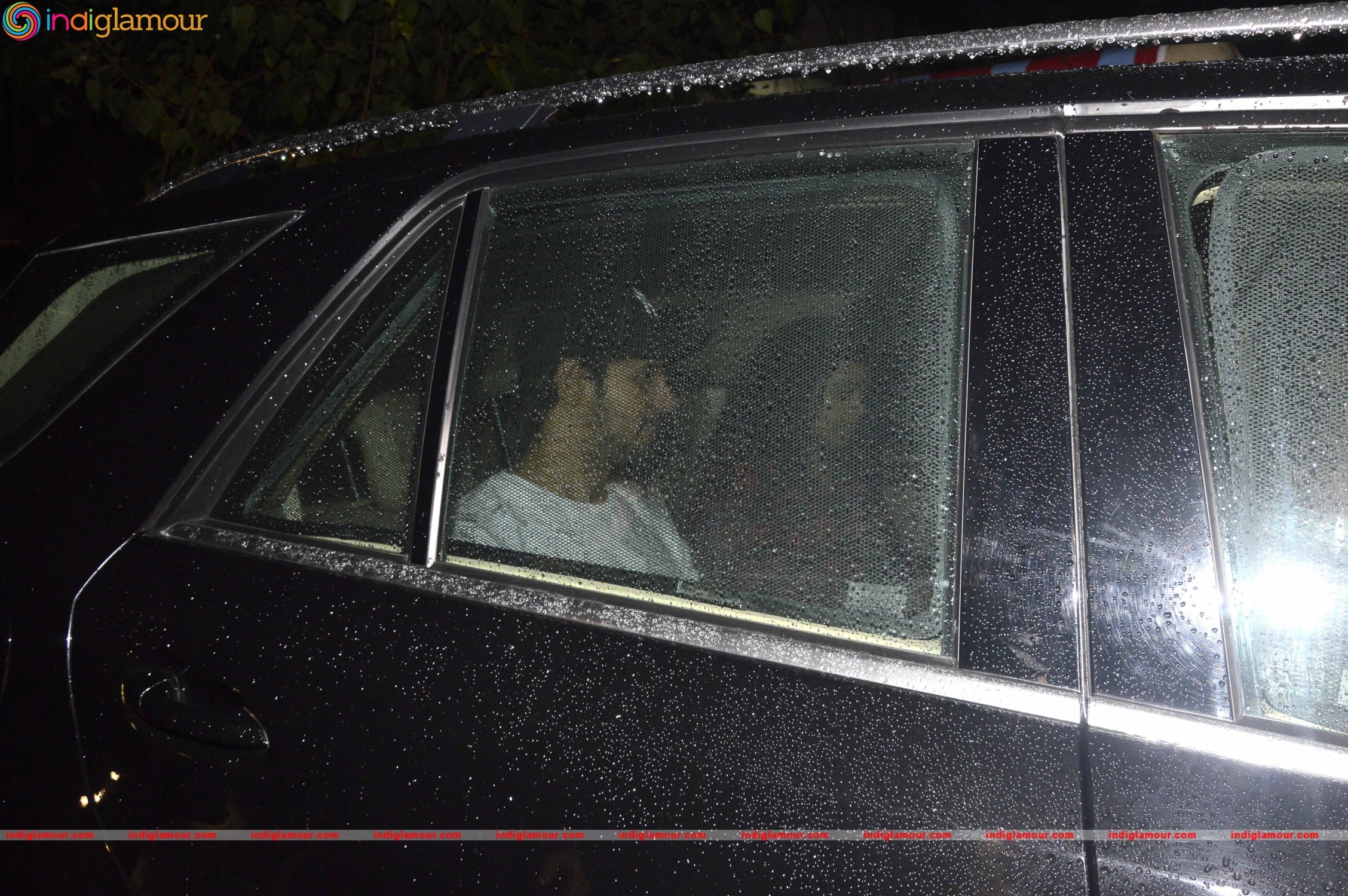 Sultan Screening at Yashraj Event hd photo