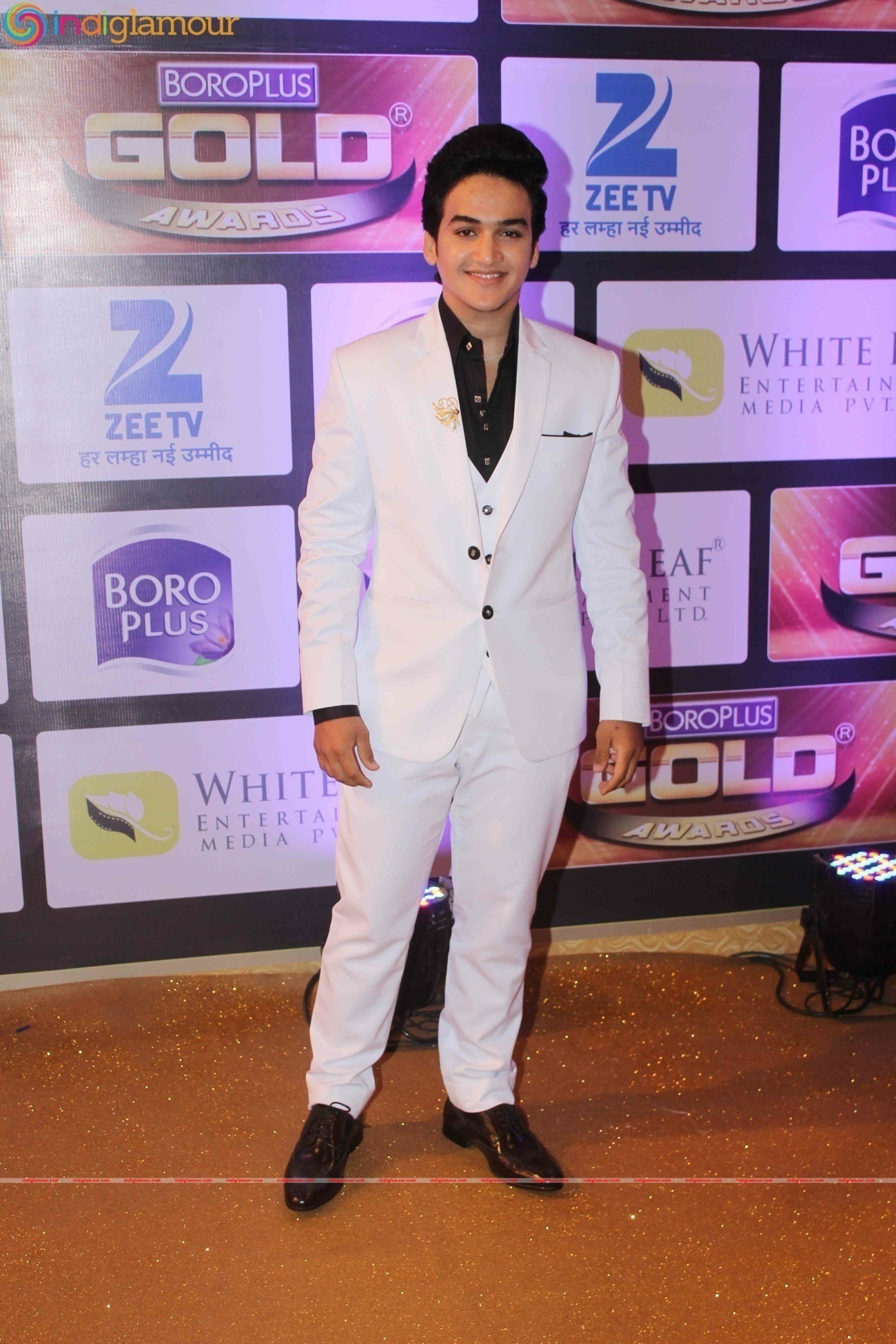 9th Zee Gold Award Night At Filmcity Event hd photo