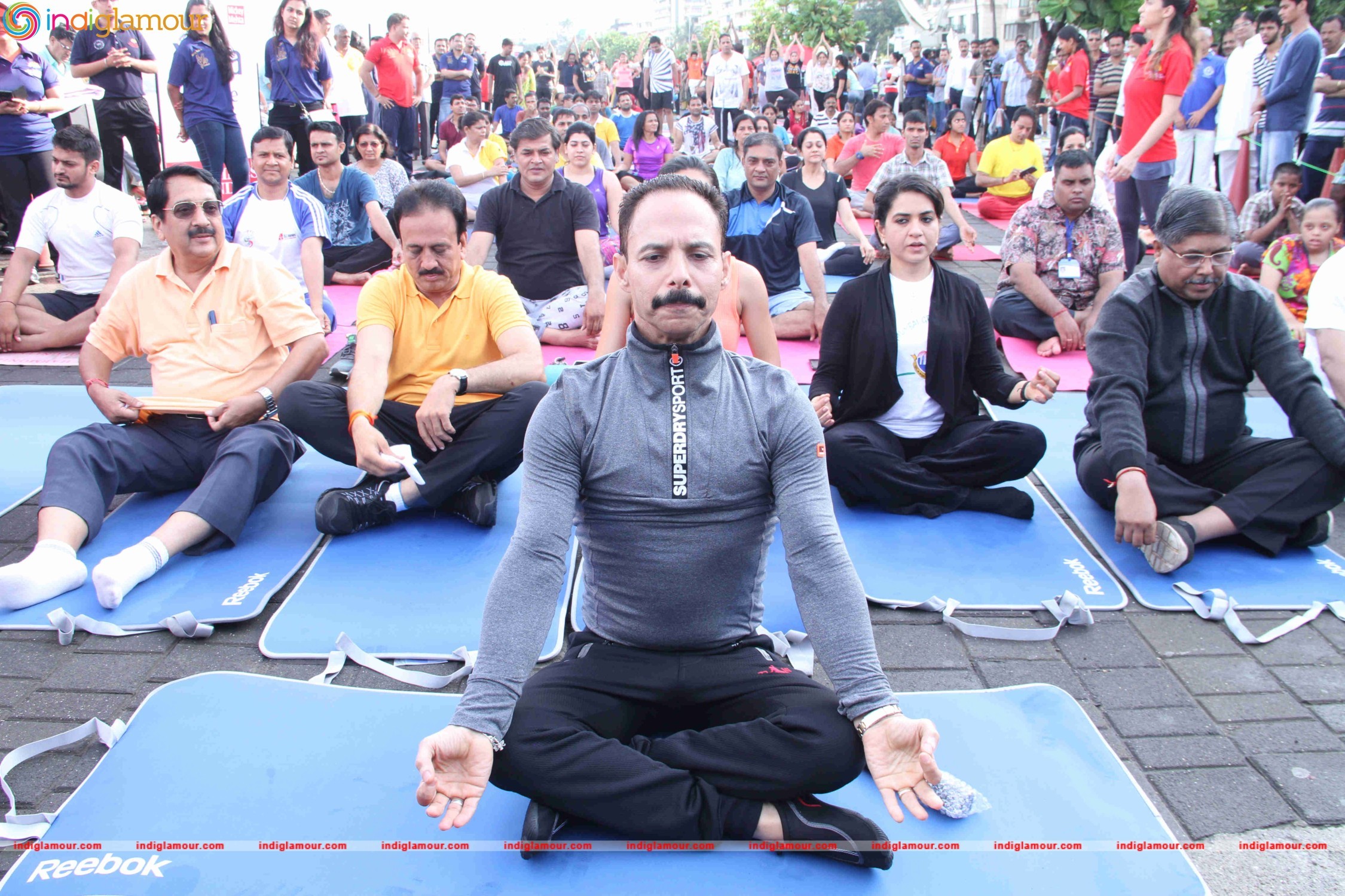 Celebrities doing Yoga on International Yoga Day Event hd photo