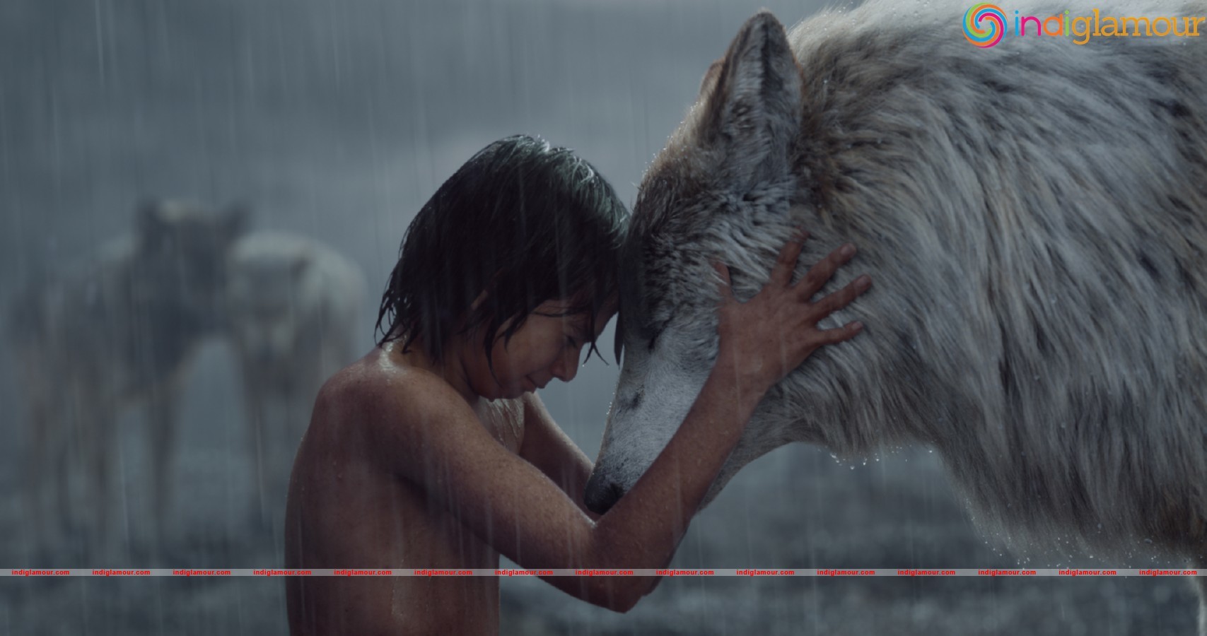 Jungle Book's Mowgli Comes Home! Neel Sethi Event hd photo