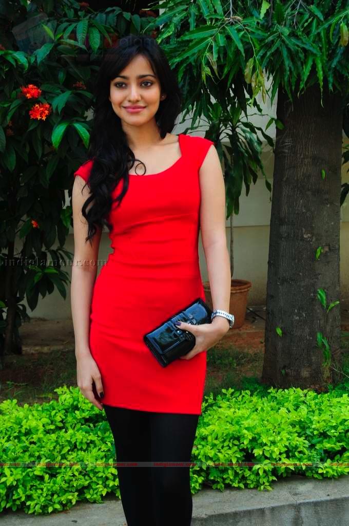 Neha Sharma Actress hd photo