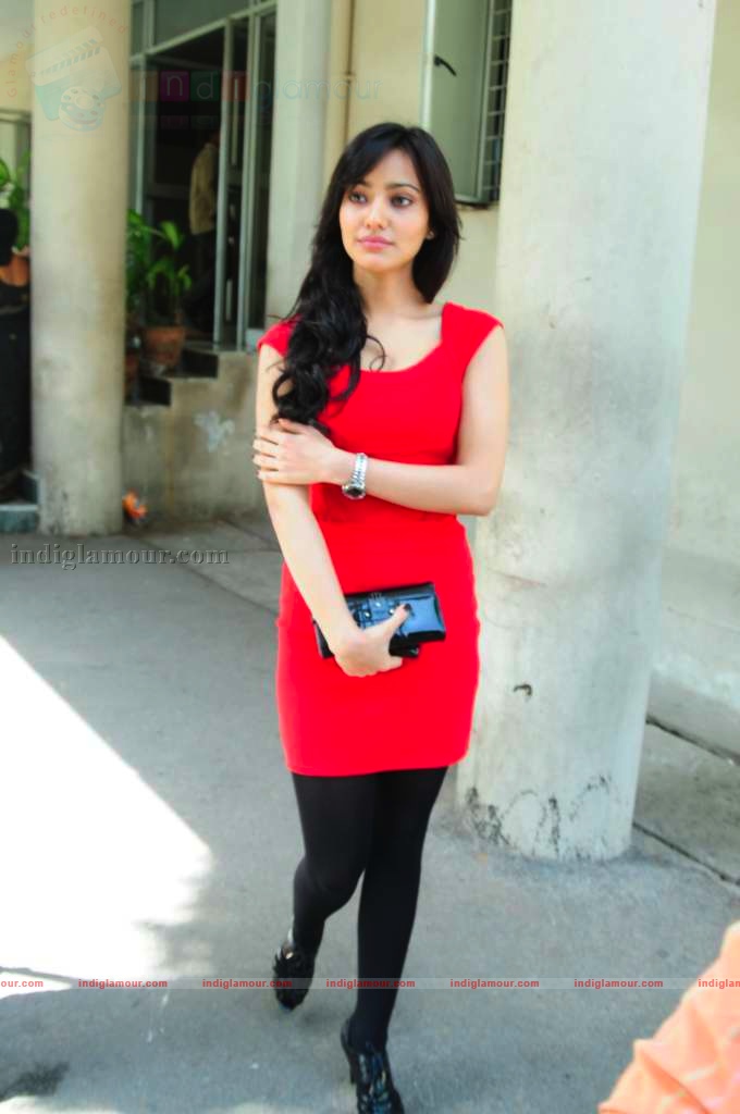 Neha Sharma Actress hd photo