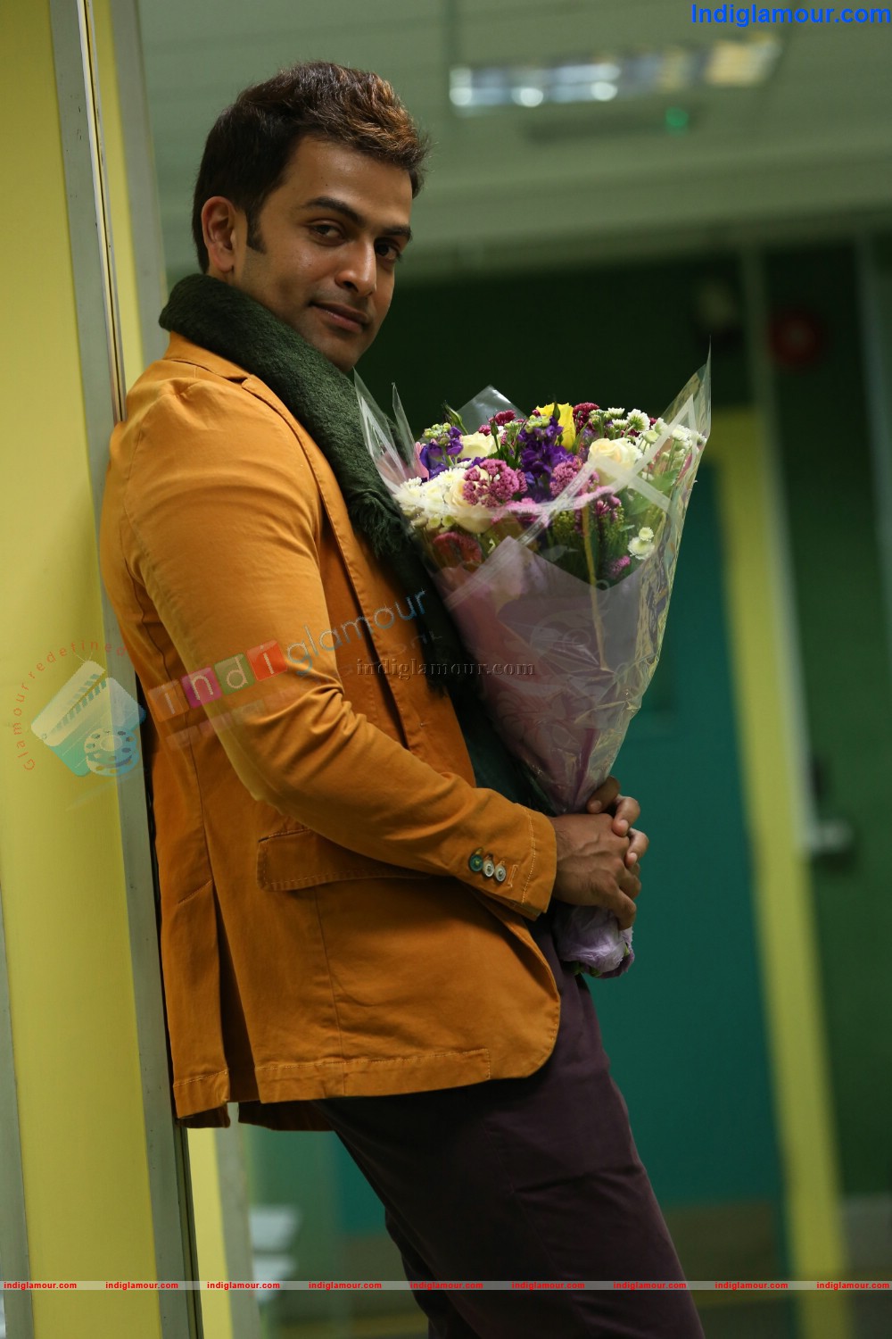 Prithviraj Actor hd photo